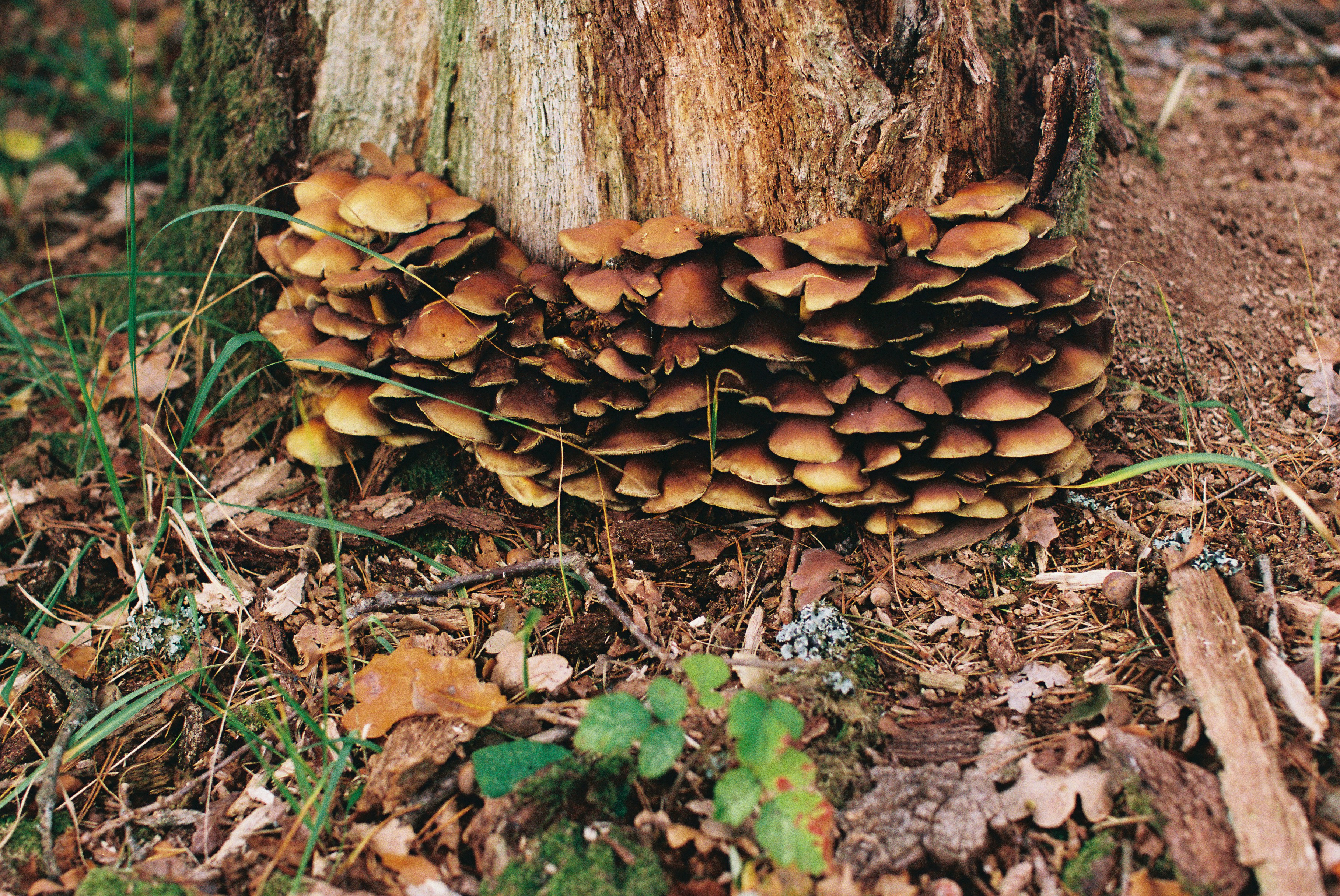 Photo by tanyabarrow