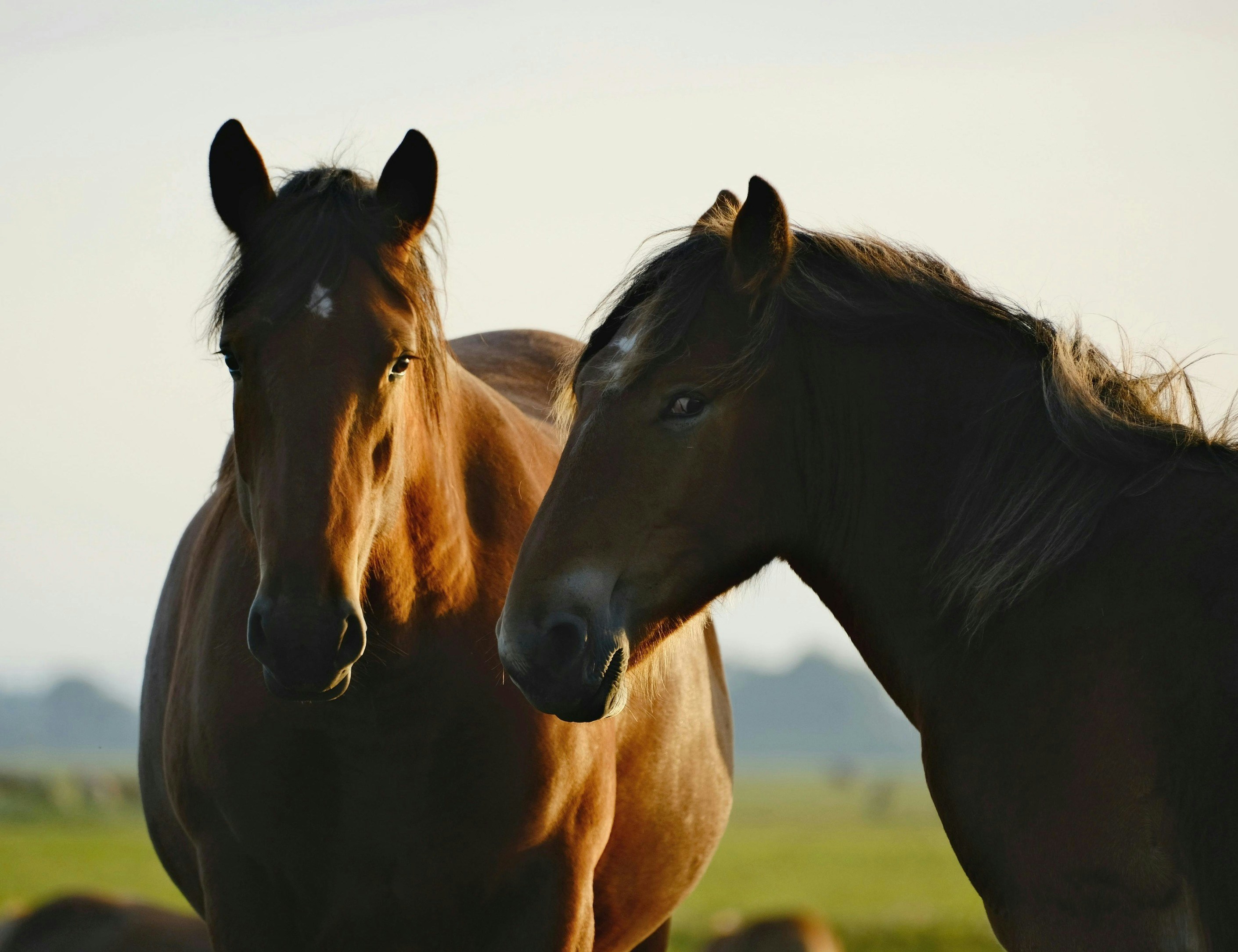 Photo by themadcorner