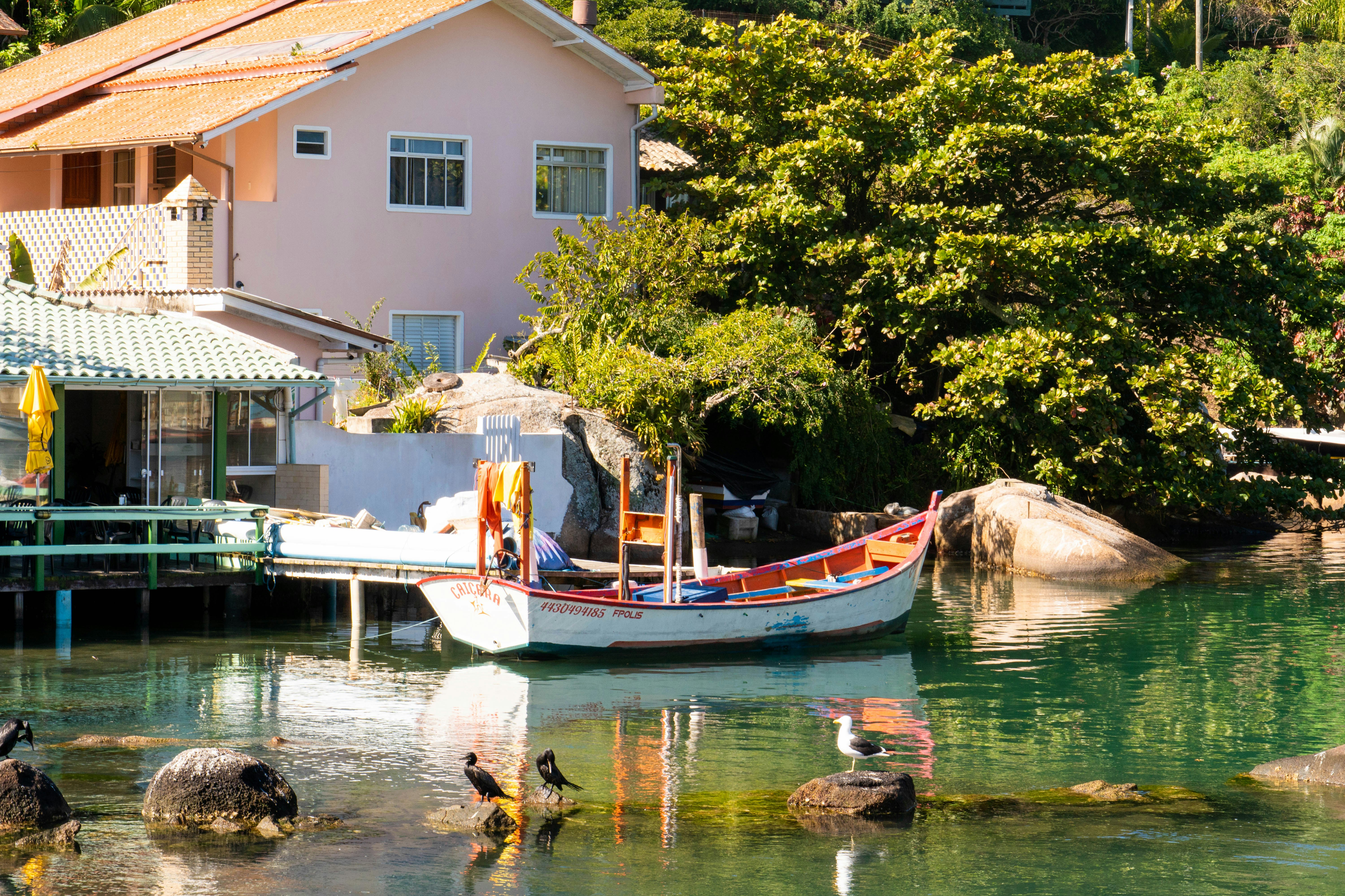 Photo by gustavo0351