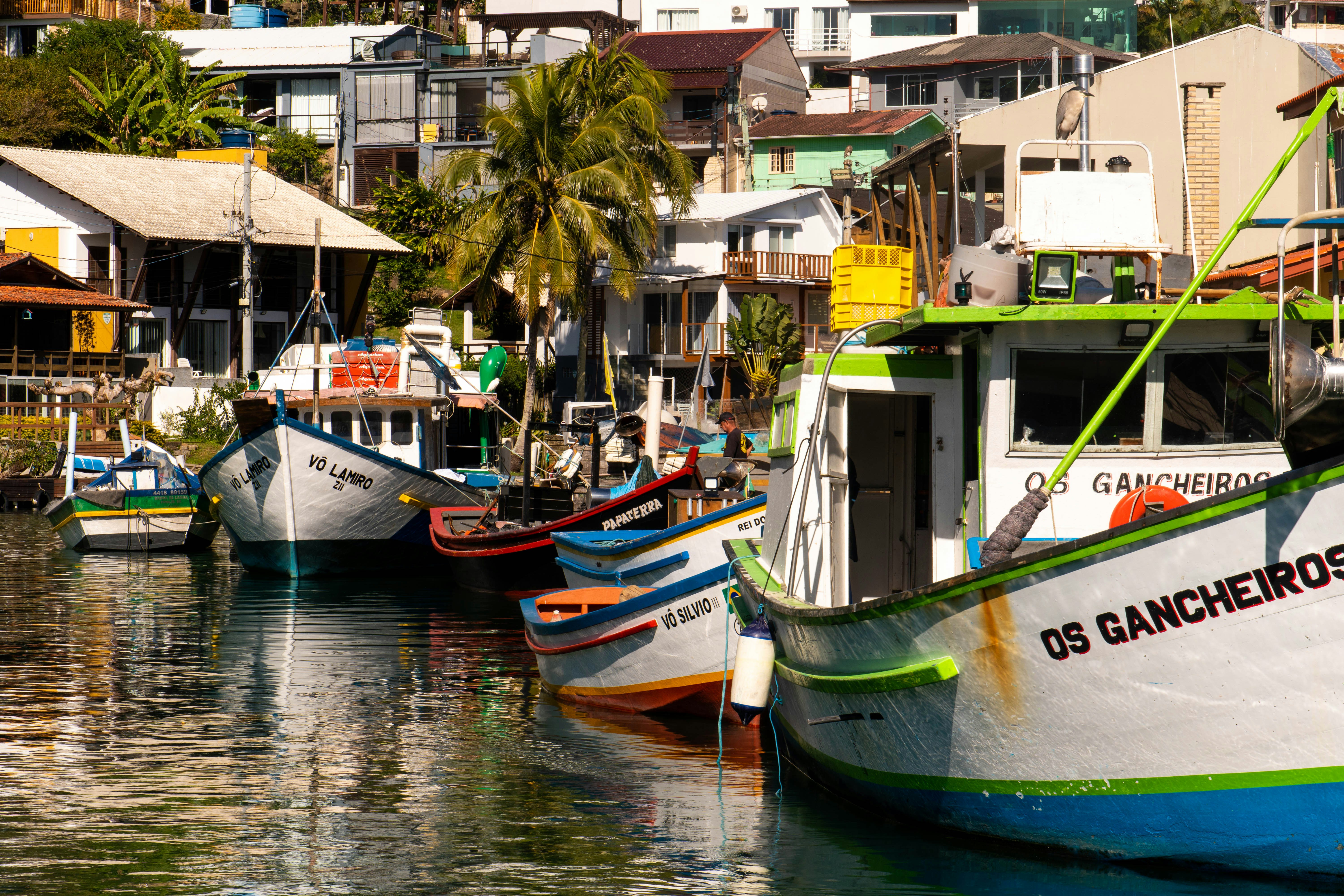 Photo by gustavo0351