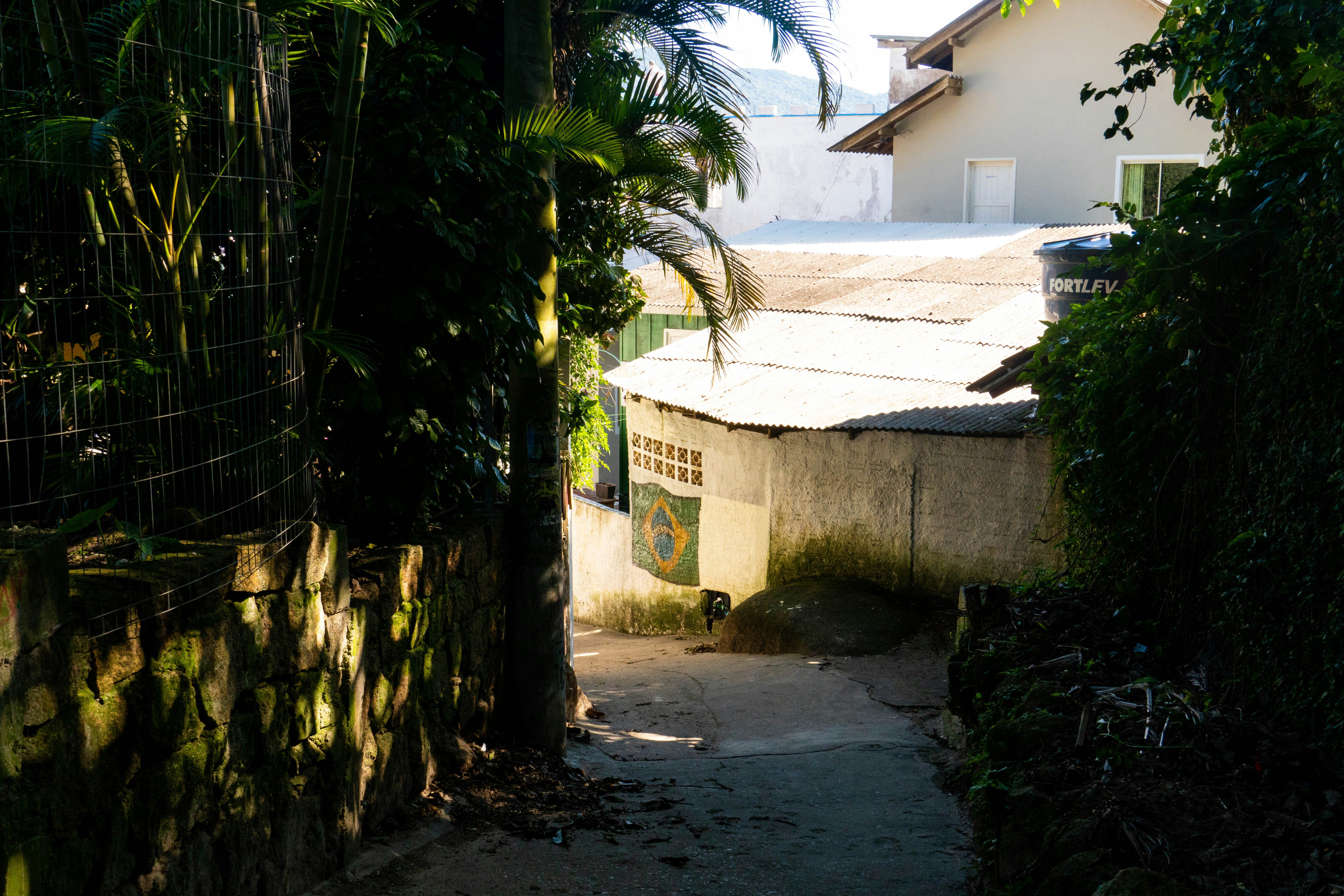 A narrow path leads to houses surrounded by trees.