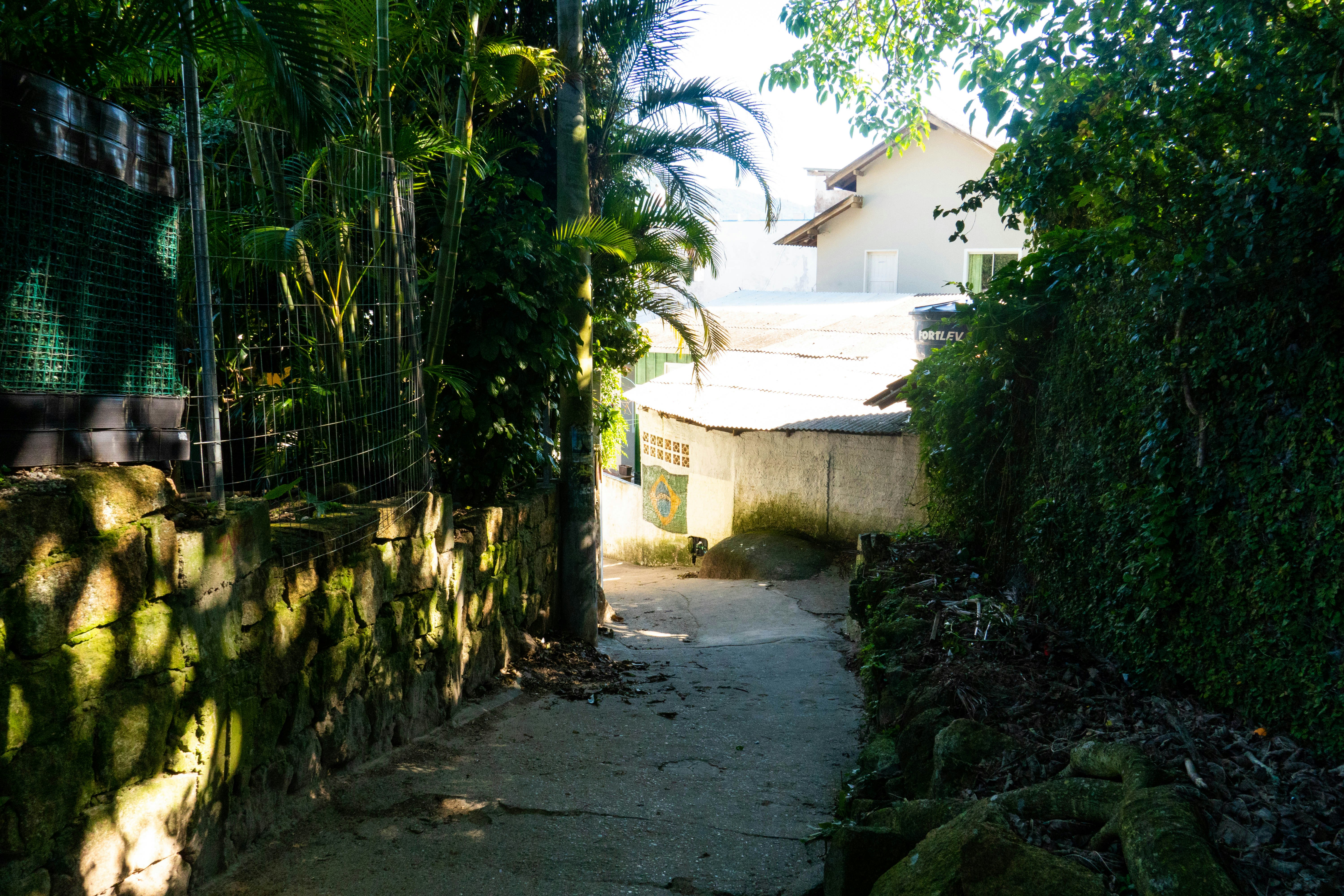 Photo by gustavo0351