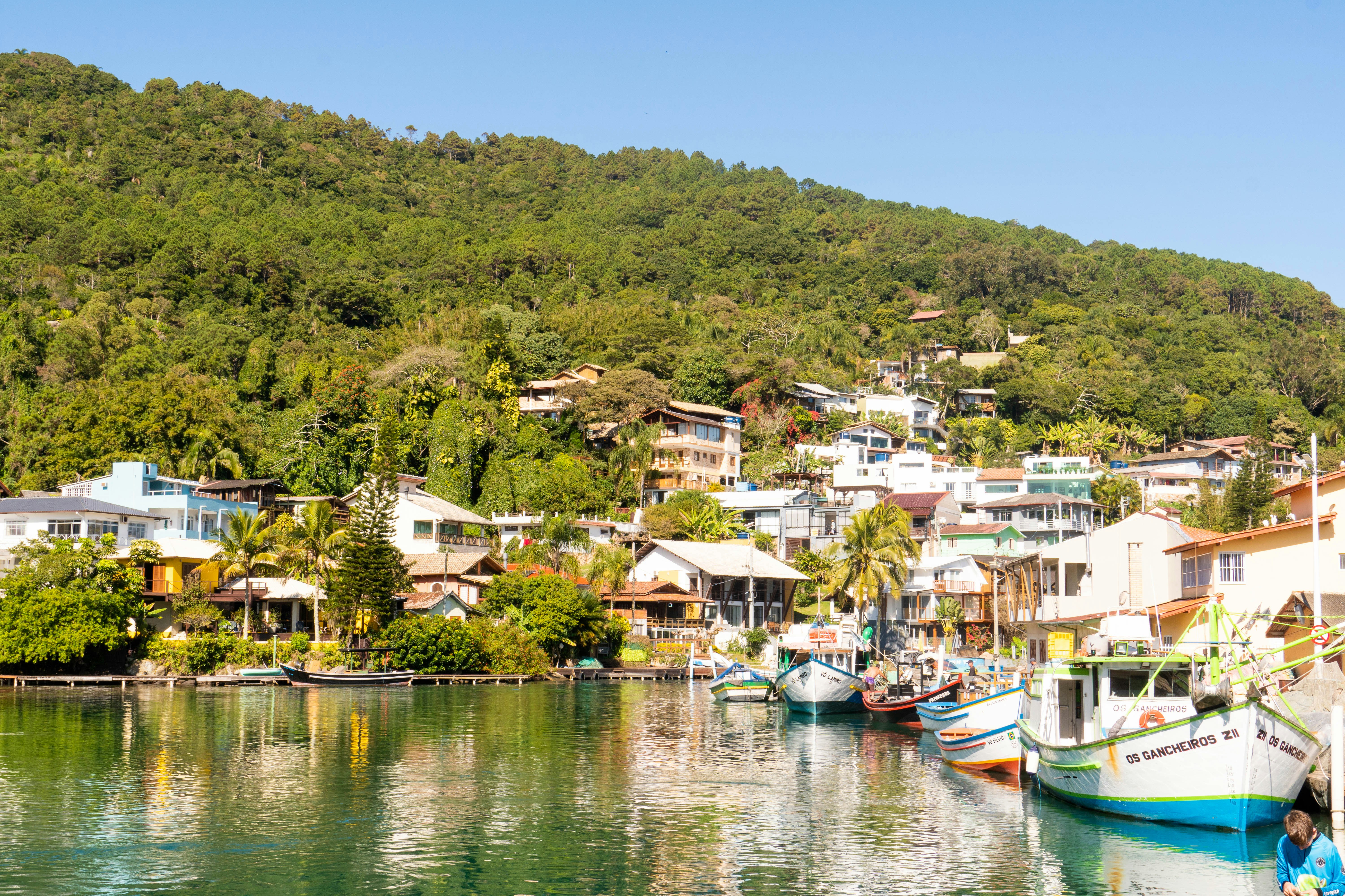 Photo by gustavo0351