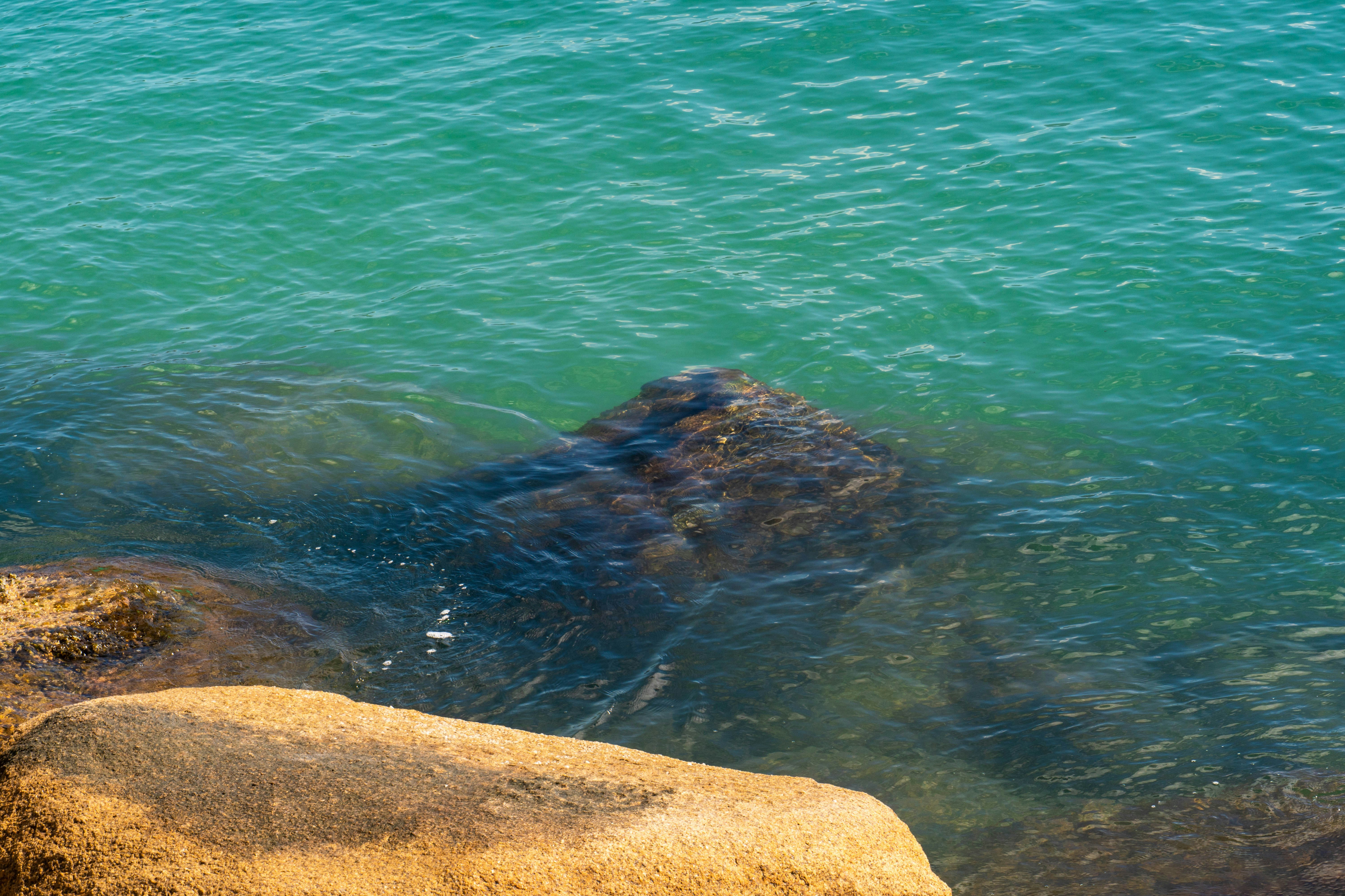 Photo by gustavo0351