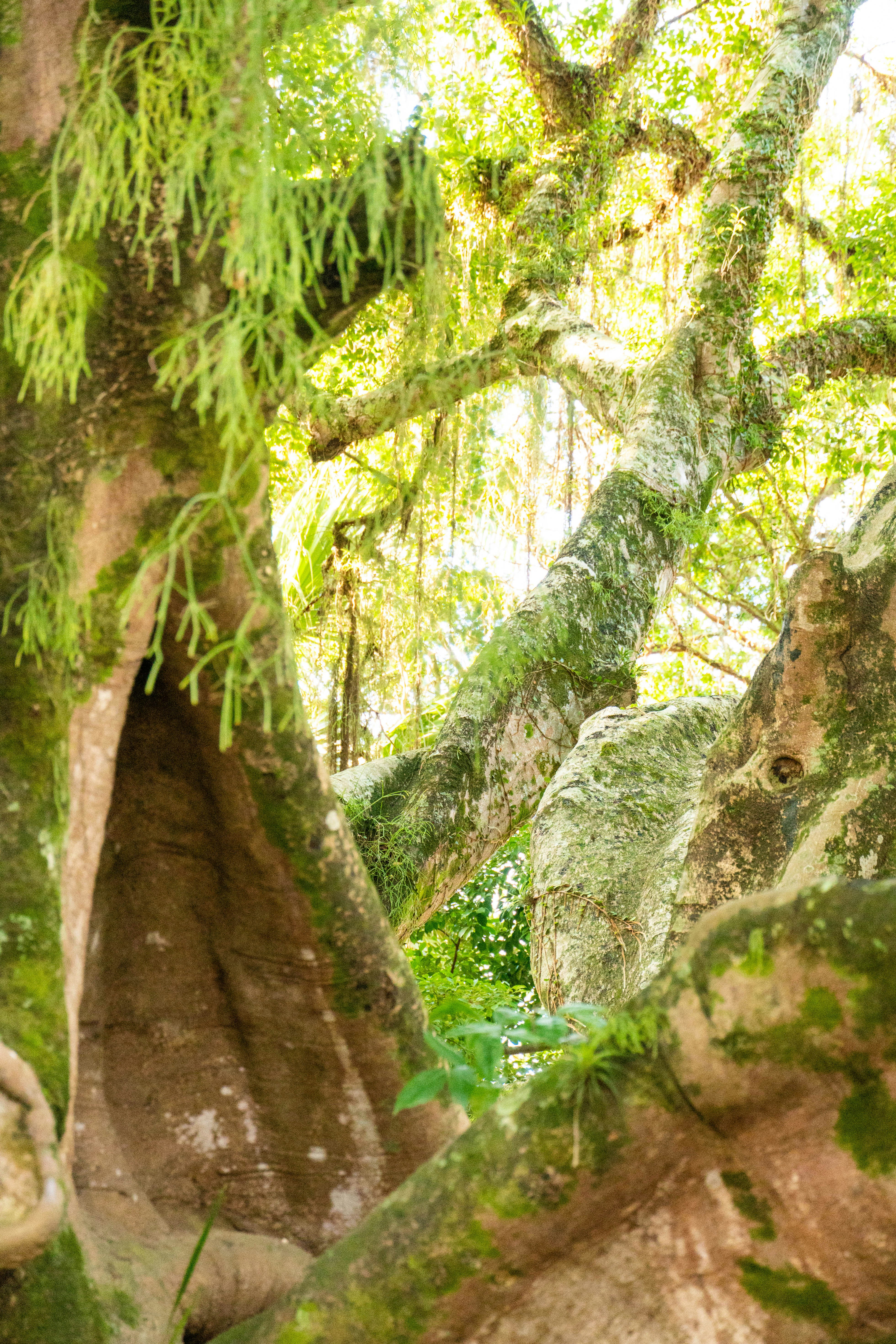 Photo by gustavo0351