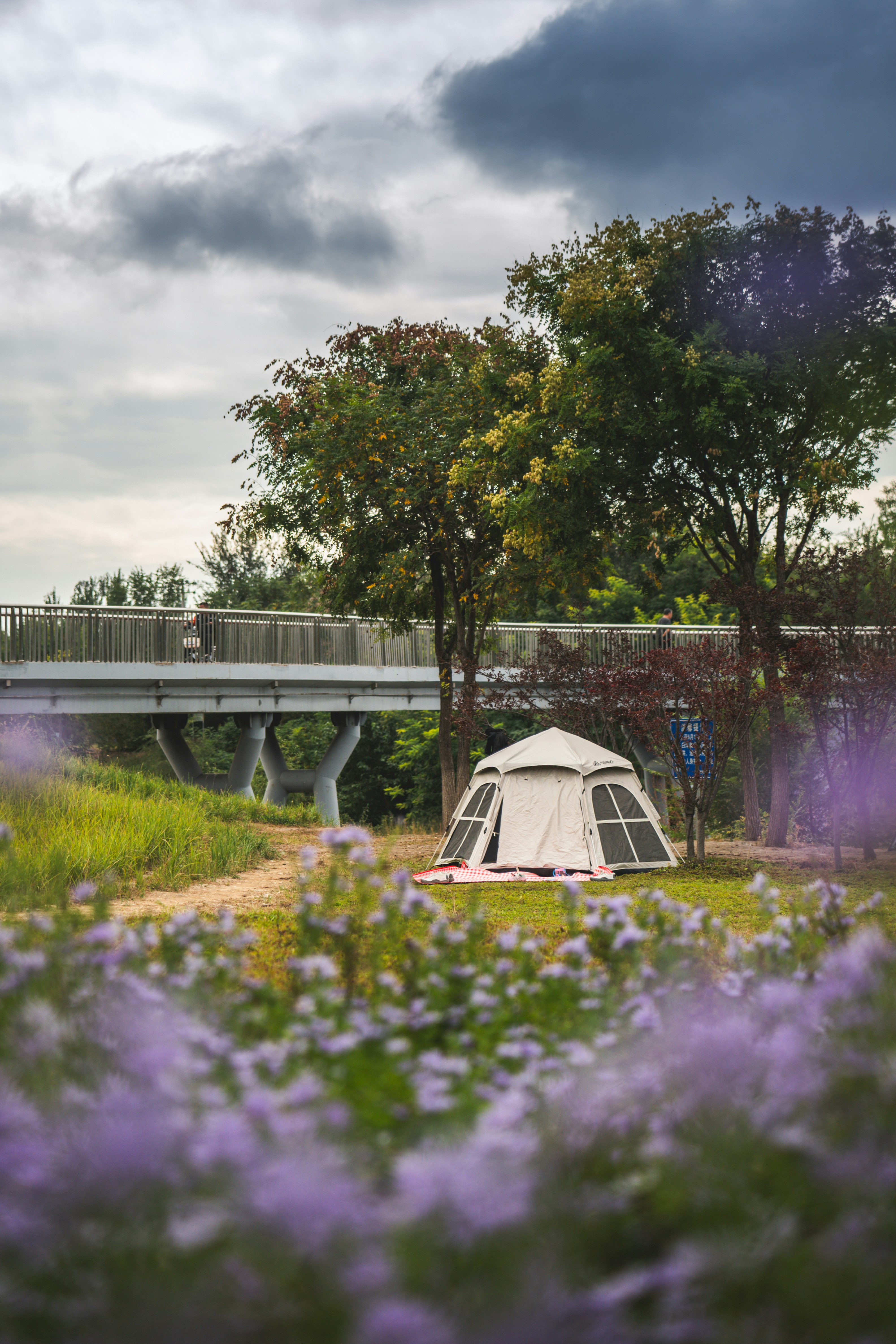 8 Modular Tent Design Ideas Shaped by Urban Outdoor Living Trends