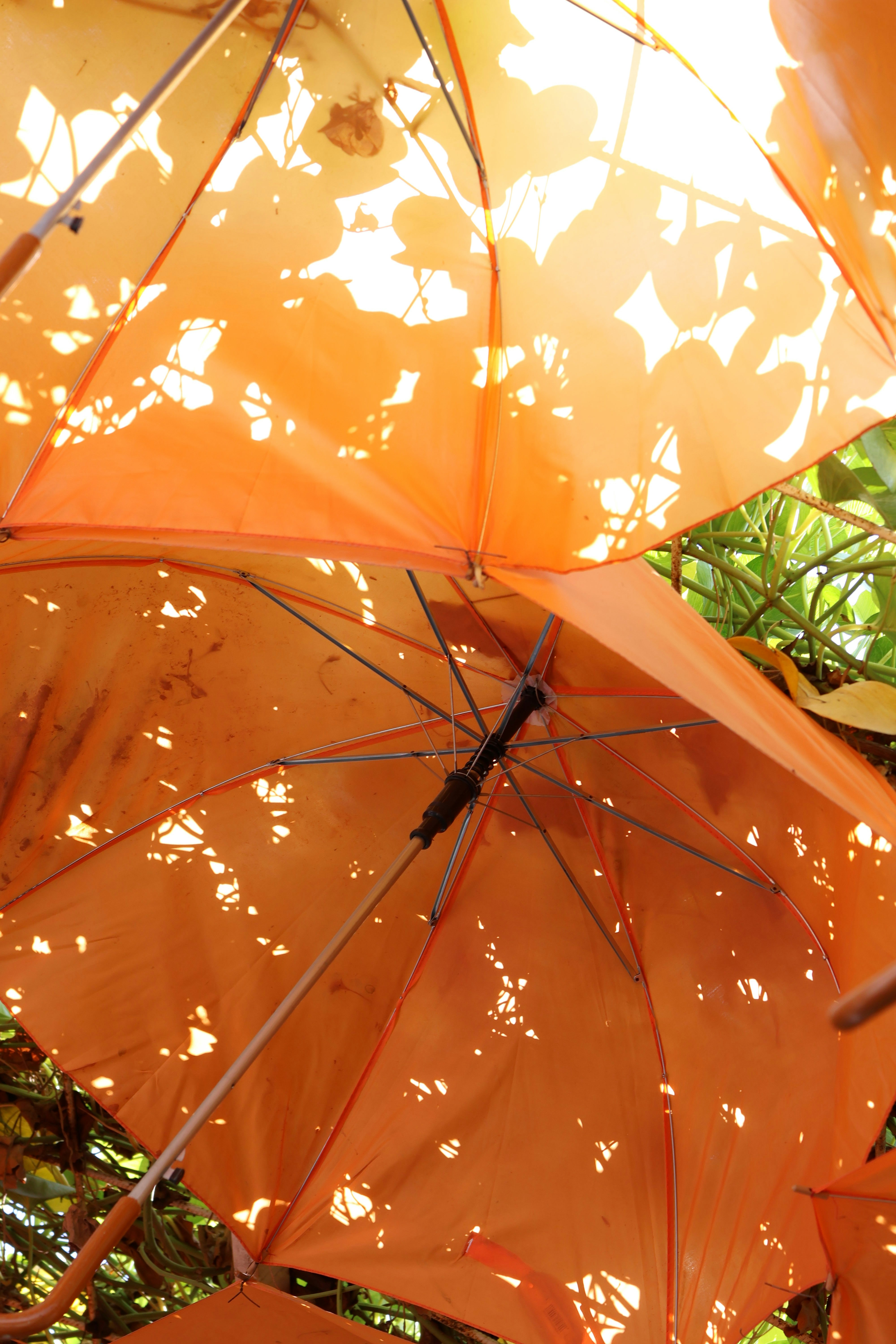 Paraguas naranjas con agujeros que dejan entrar la luz