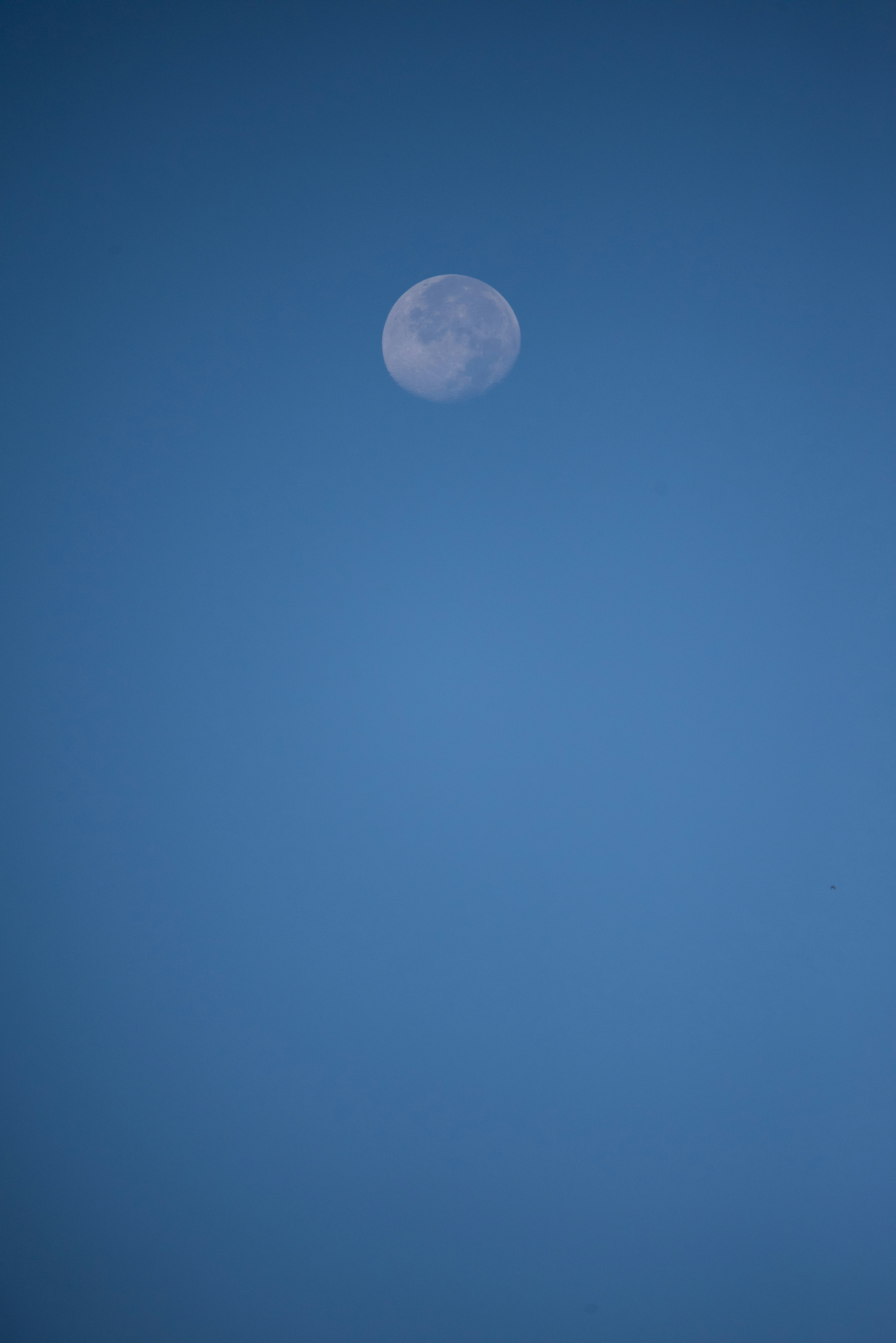 Photo by justynazielinska654