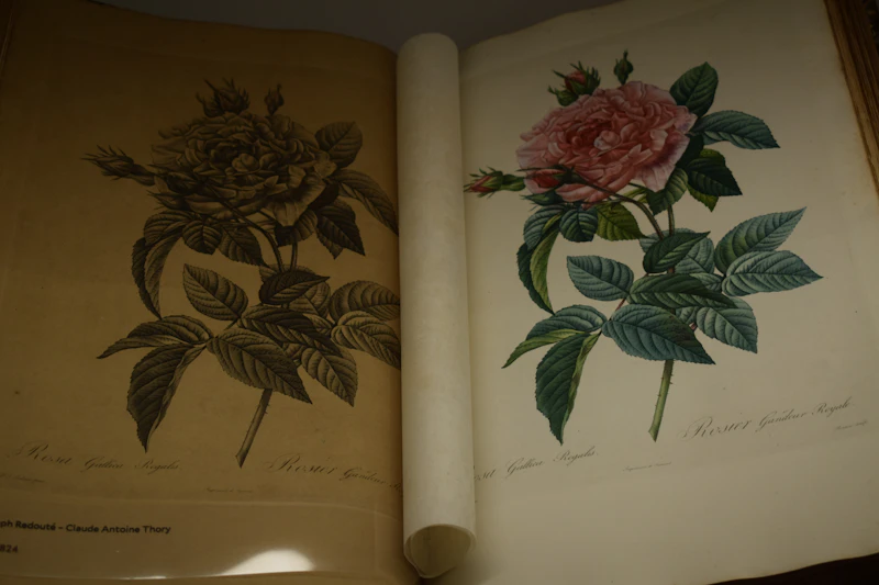 Botanical Linocut Print