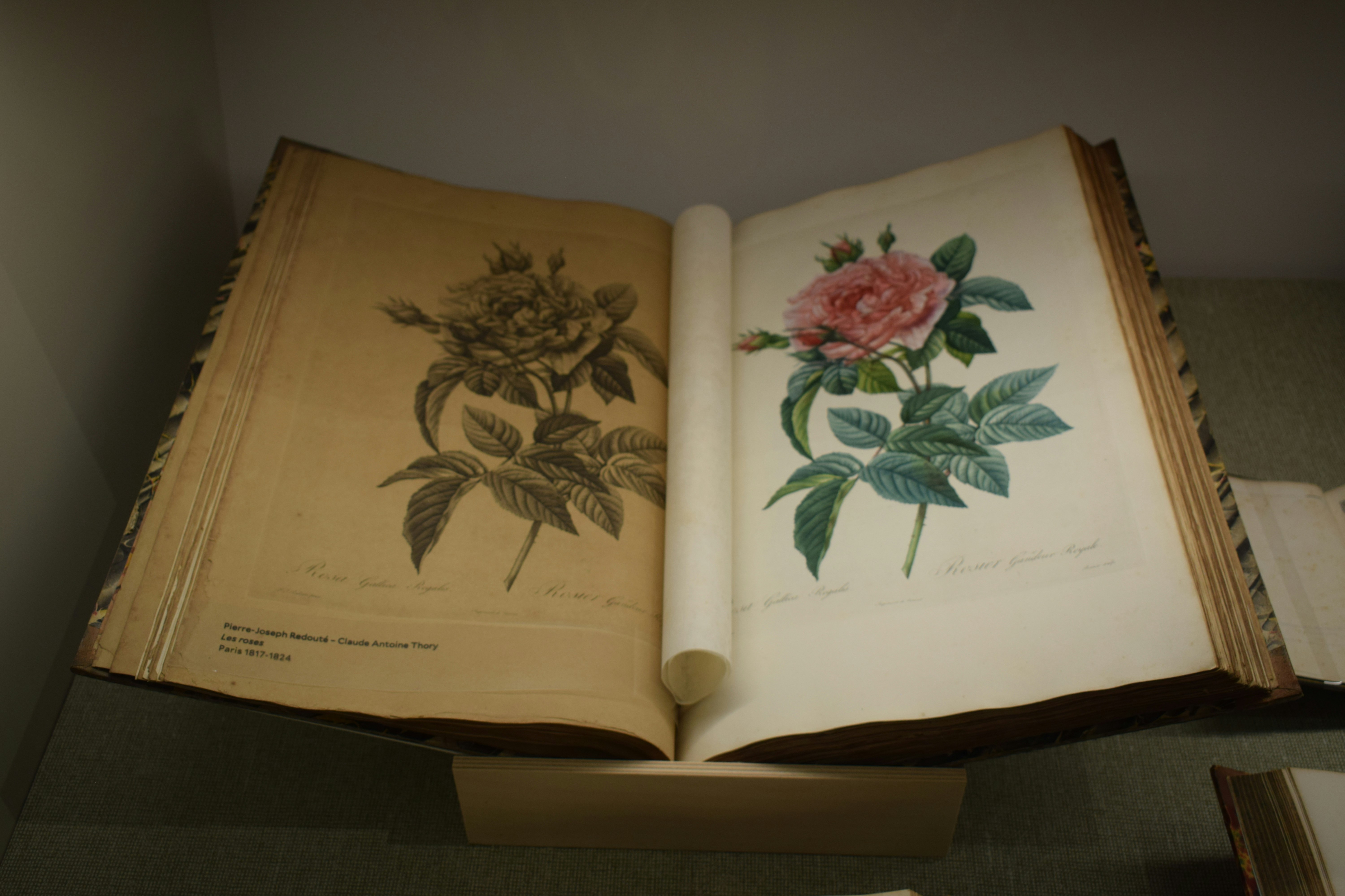 Ancient Herbal Secrets