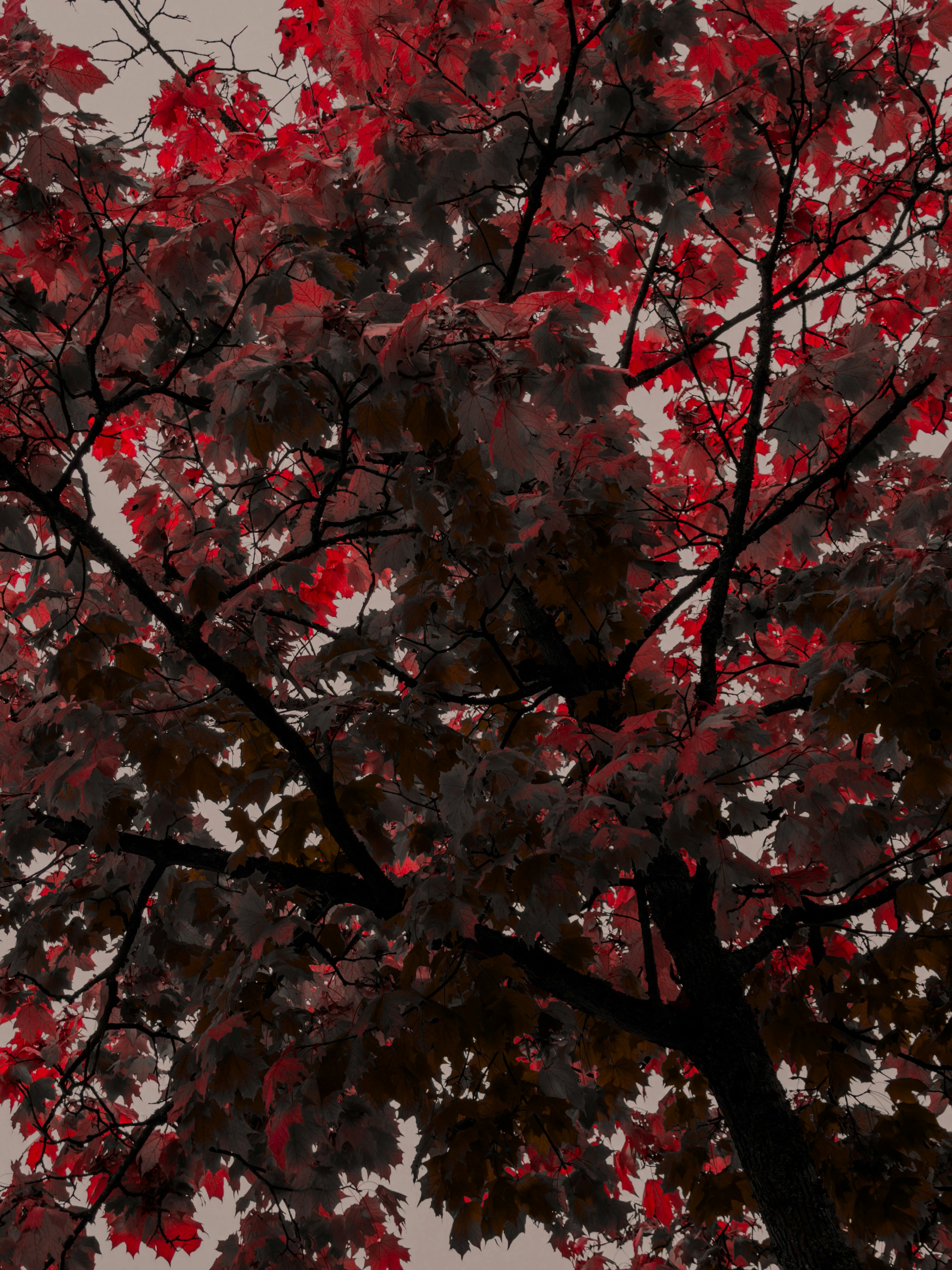 Photo by warrensammut