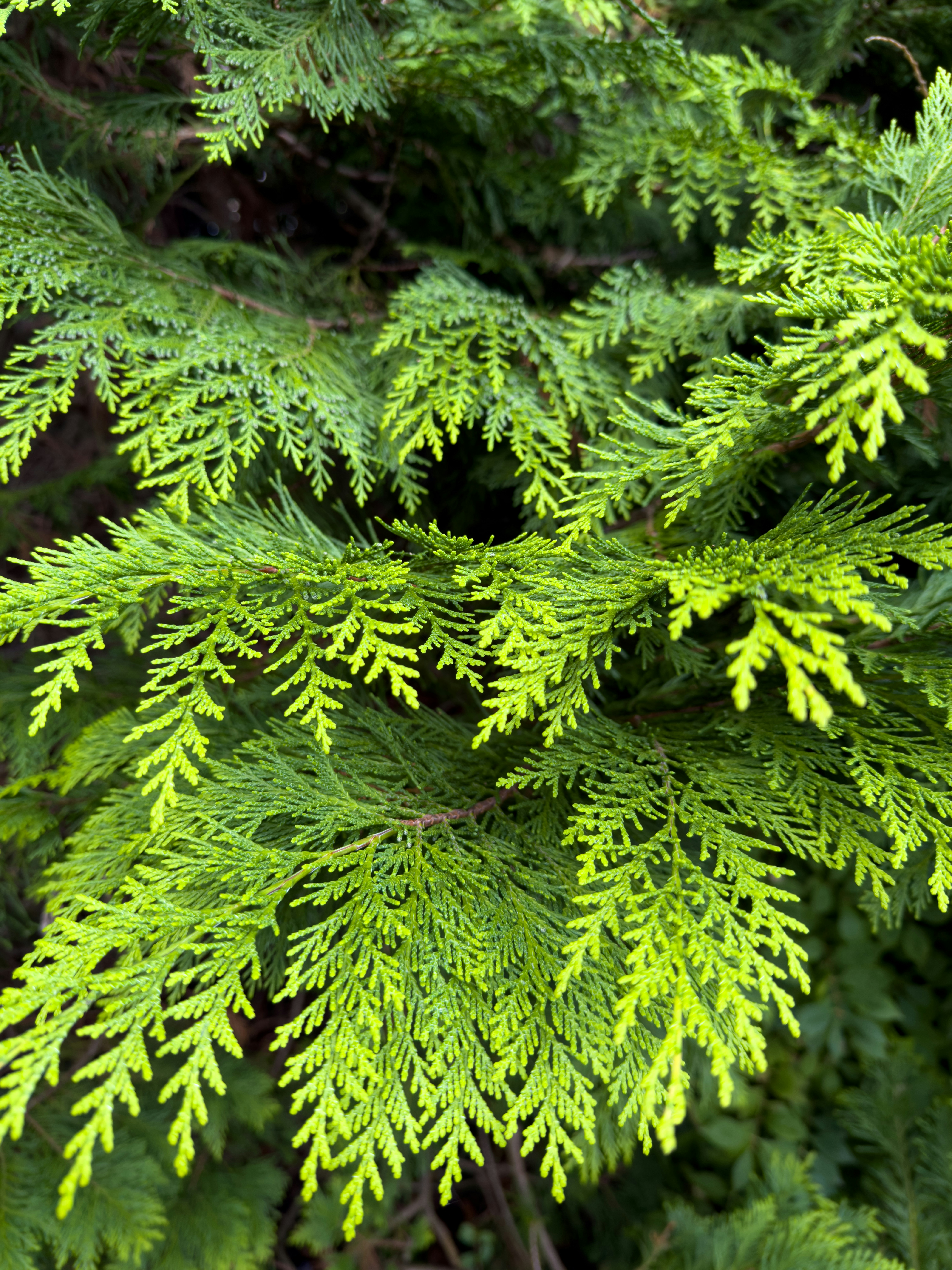 Photo by warrensammut