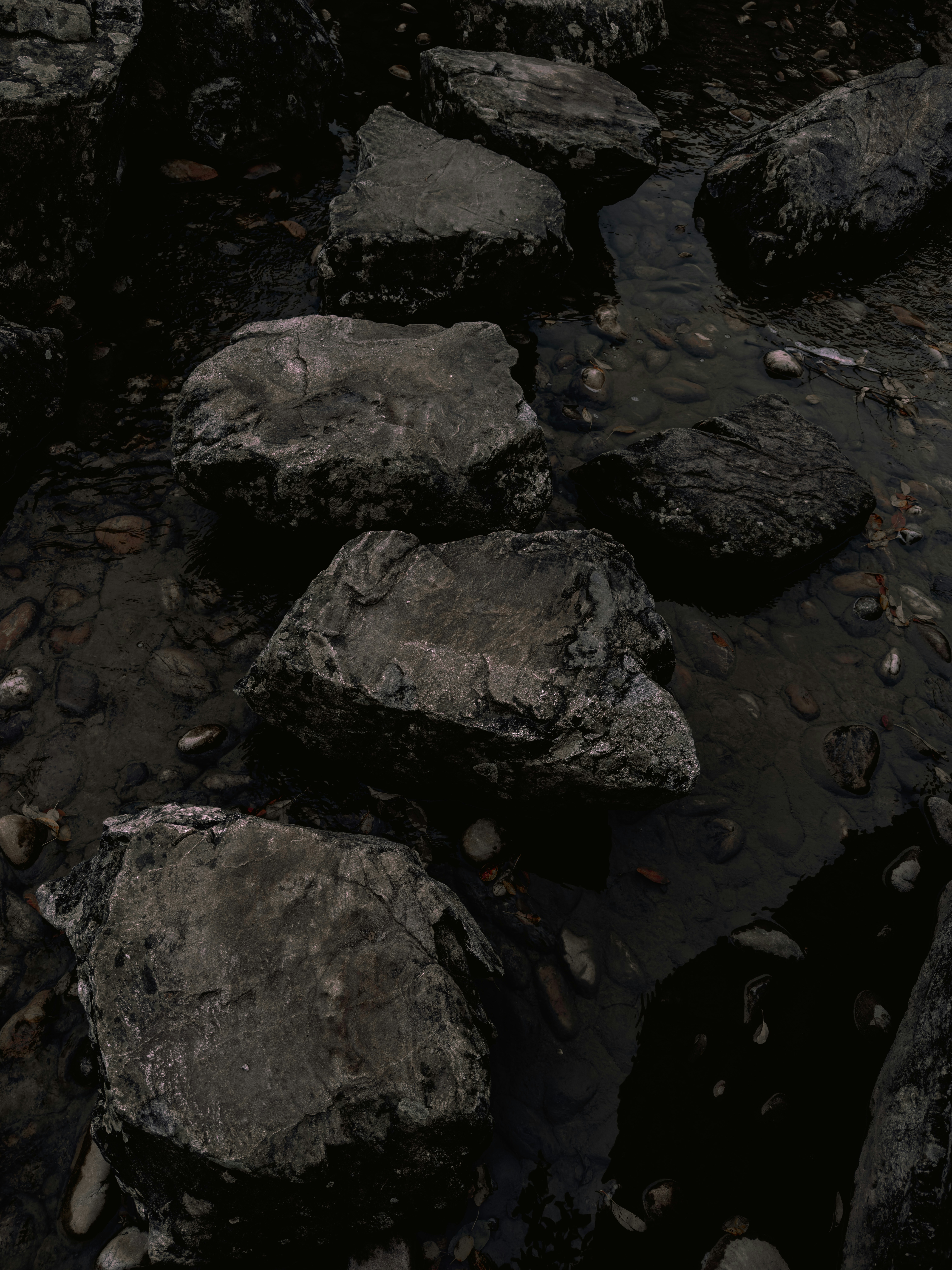 Photo by warrensammut