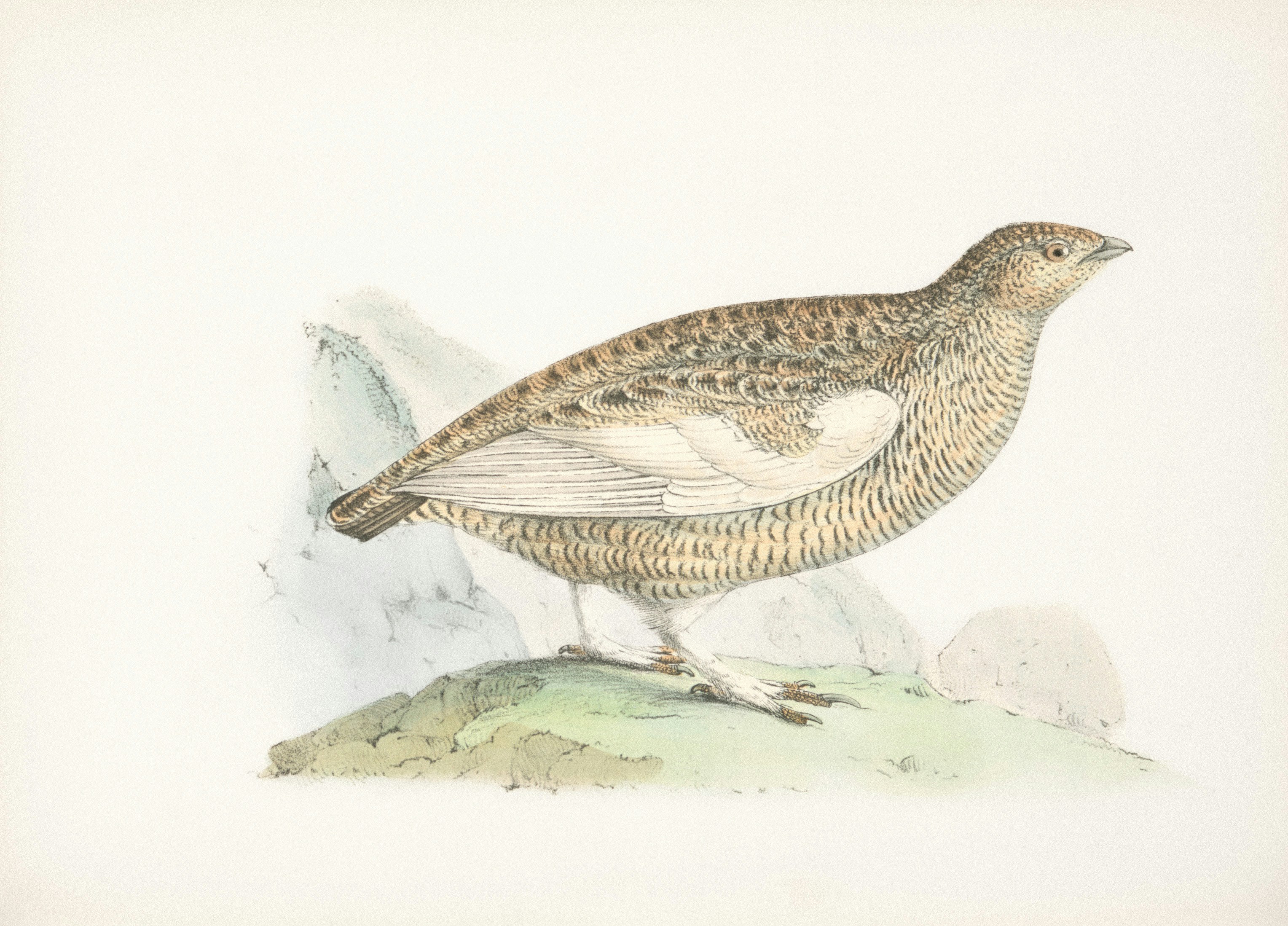 全动态影像恋爱游戏《女神的贴身男仆》好评率爆表！🌟-金点网络 - 游戏资讯|技术教程|资源分享平台