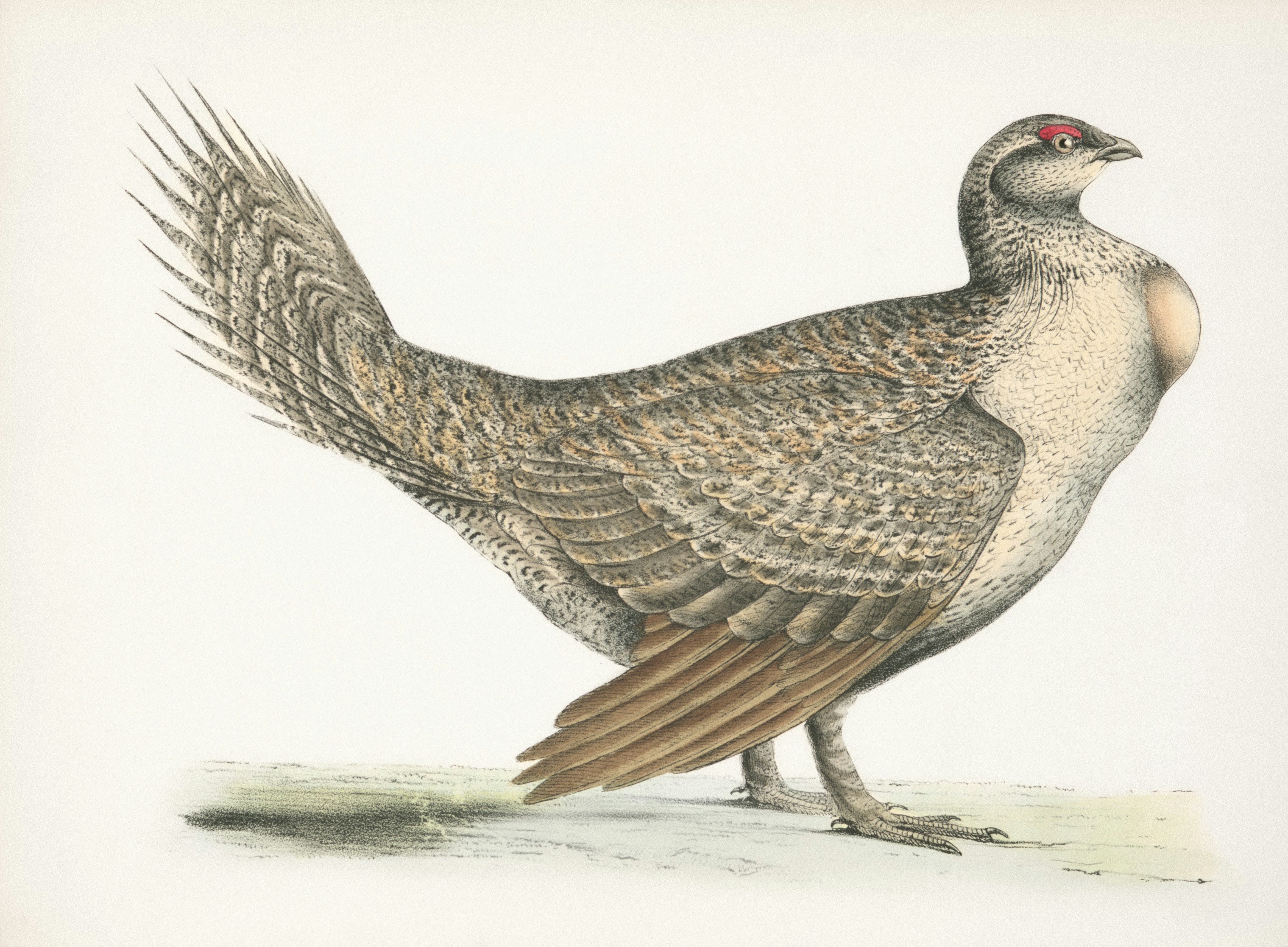 The Modern Woman’s Style Guide