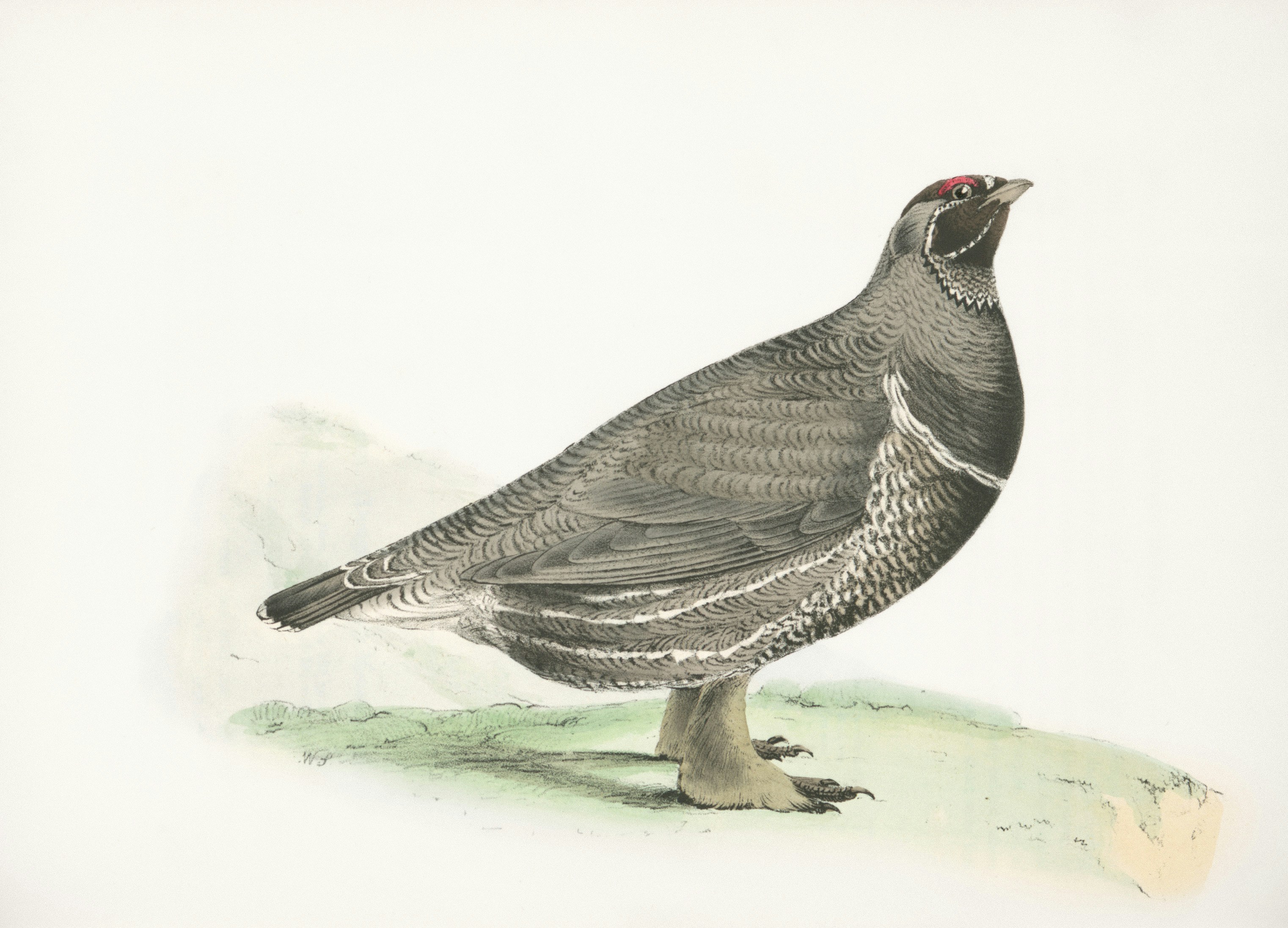 How Material Quality Defines Product Longevity