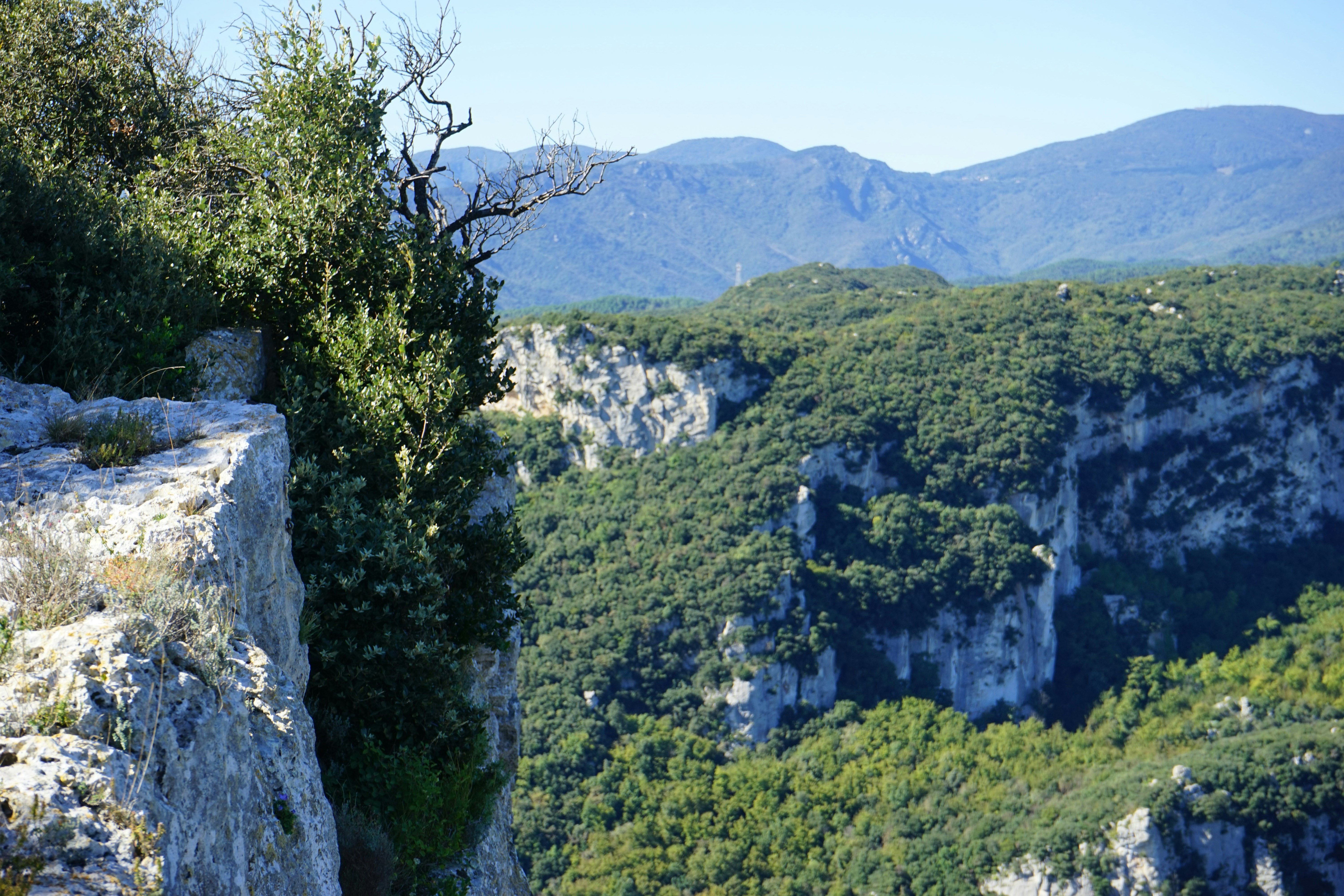 Photo by danielschild