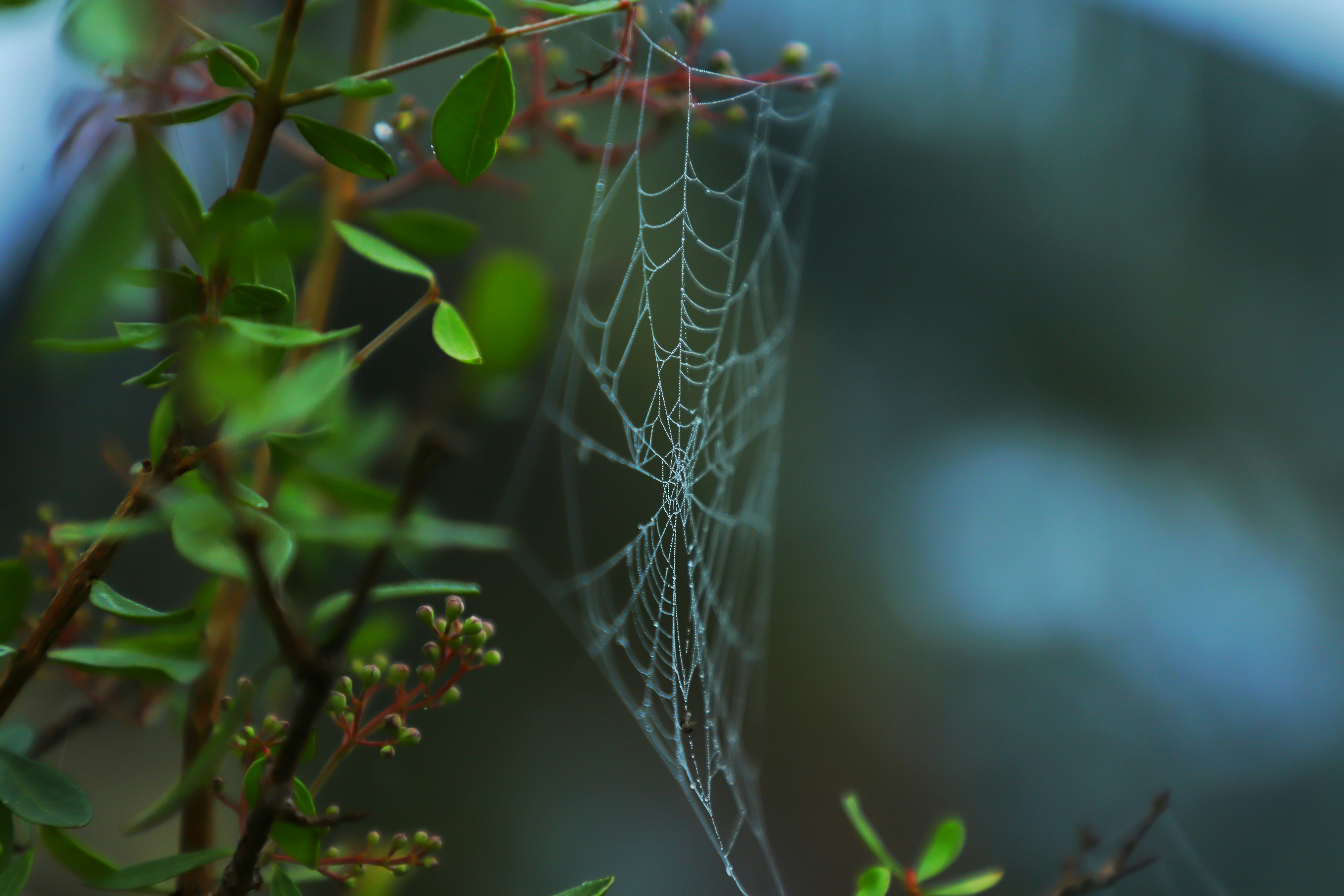 Photo by zayed_ahmed_zadu