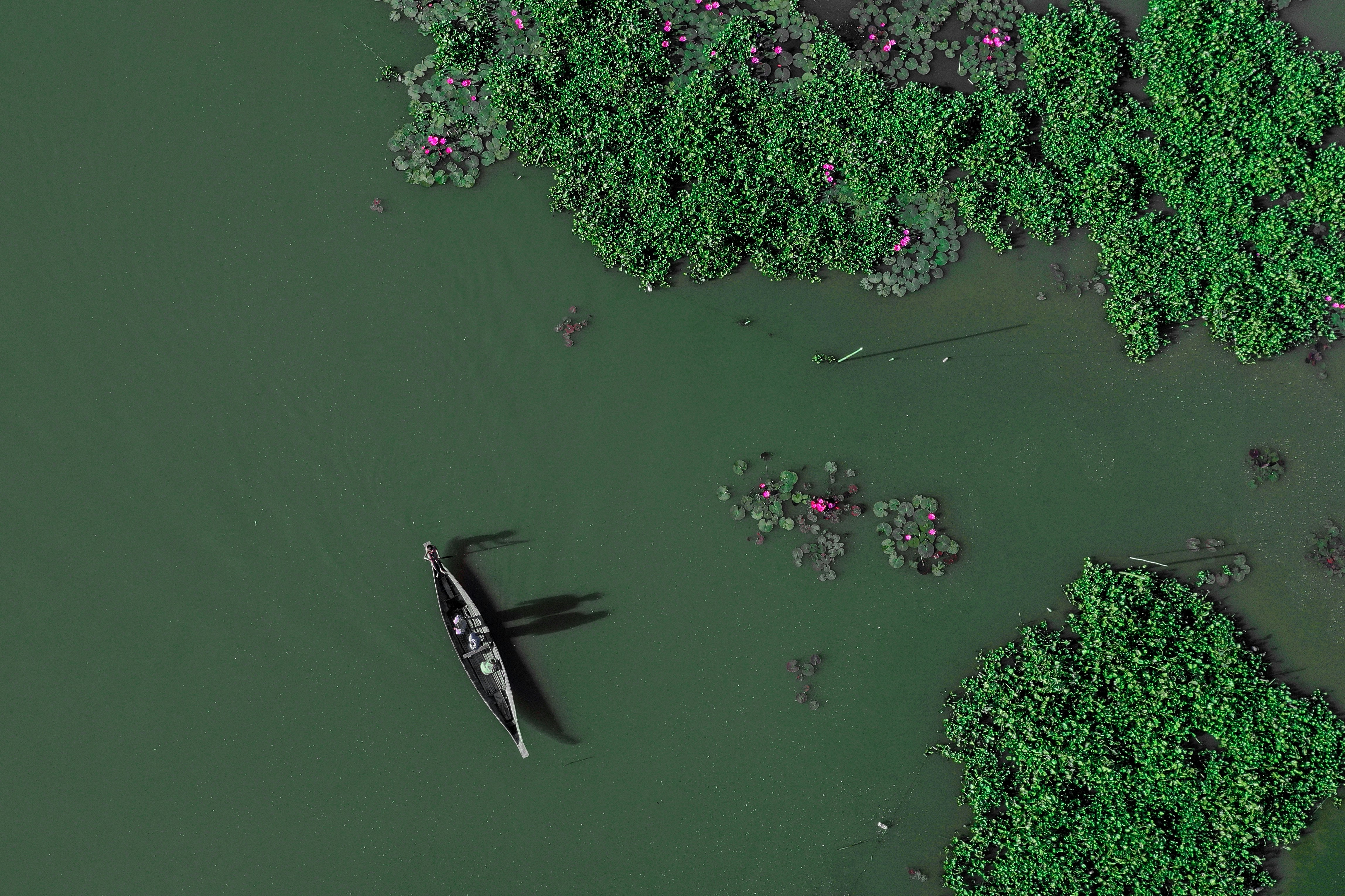 A lone boat navigates a tranquil green river.