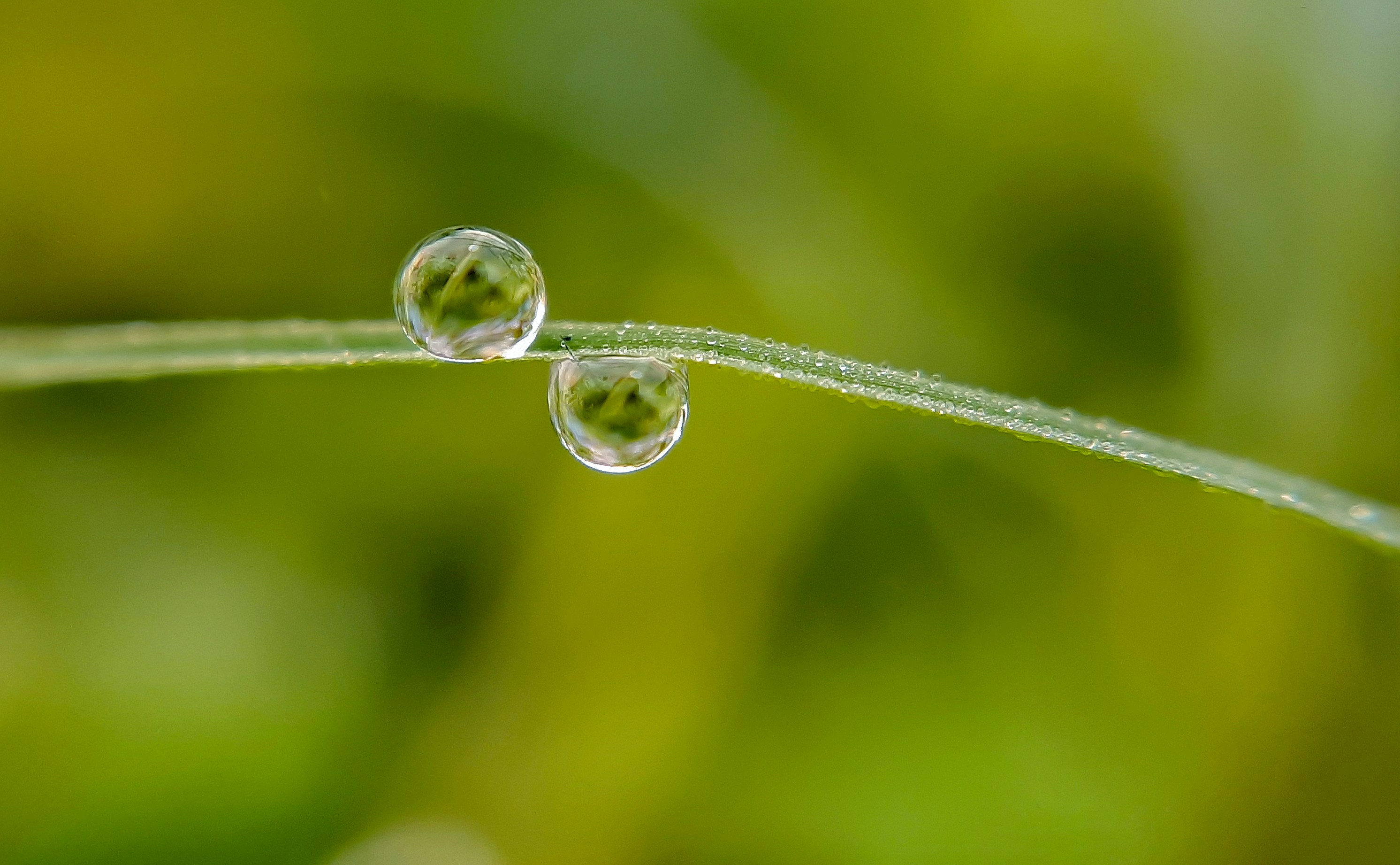 Photo by zayed_ahmed_zadu