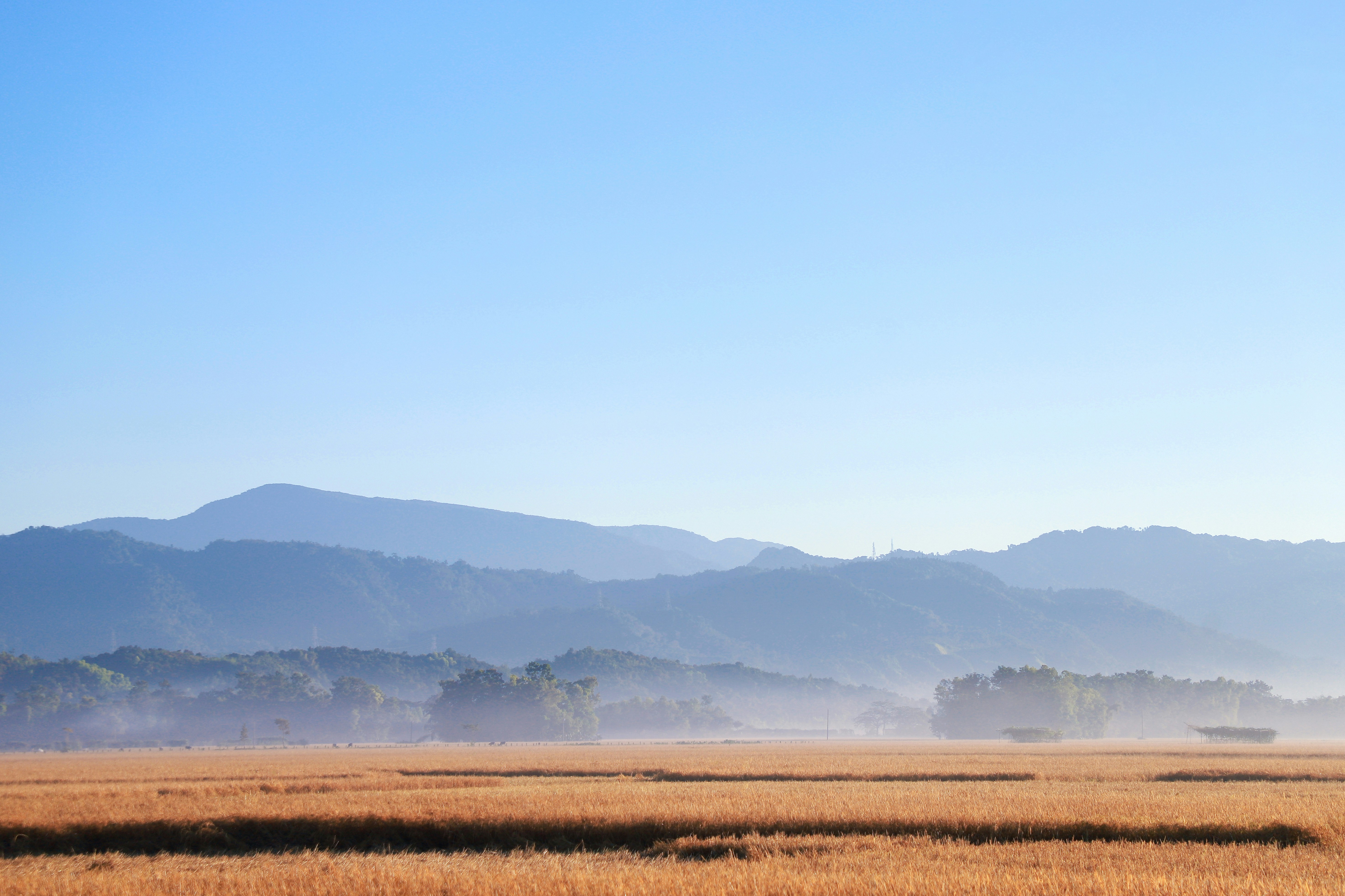 Photo by zayed_ahmed_zadu