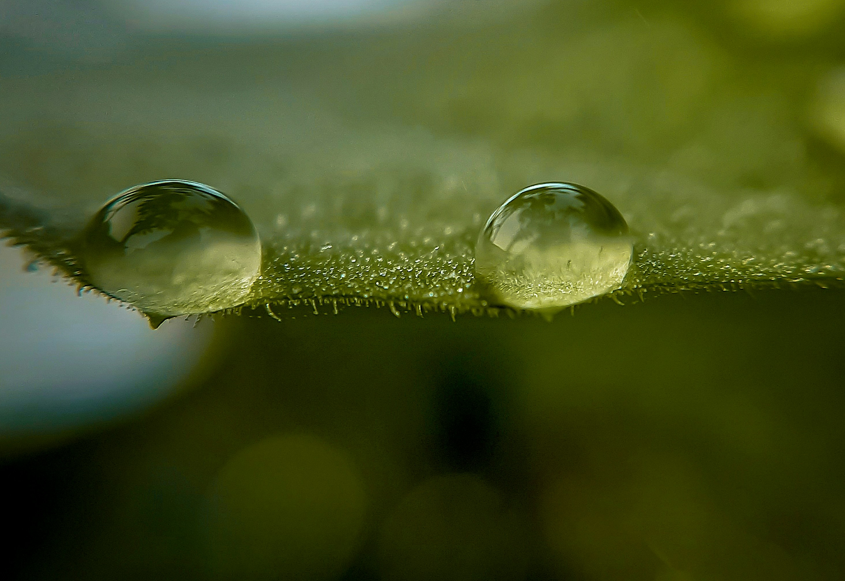 Photo by zayed_ahmed_zadu