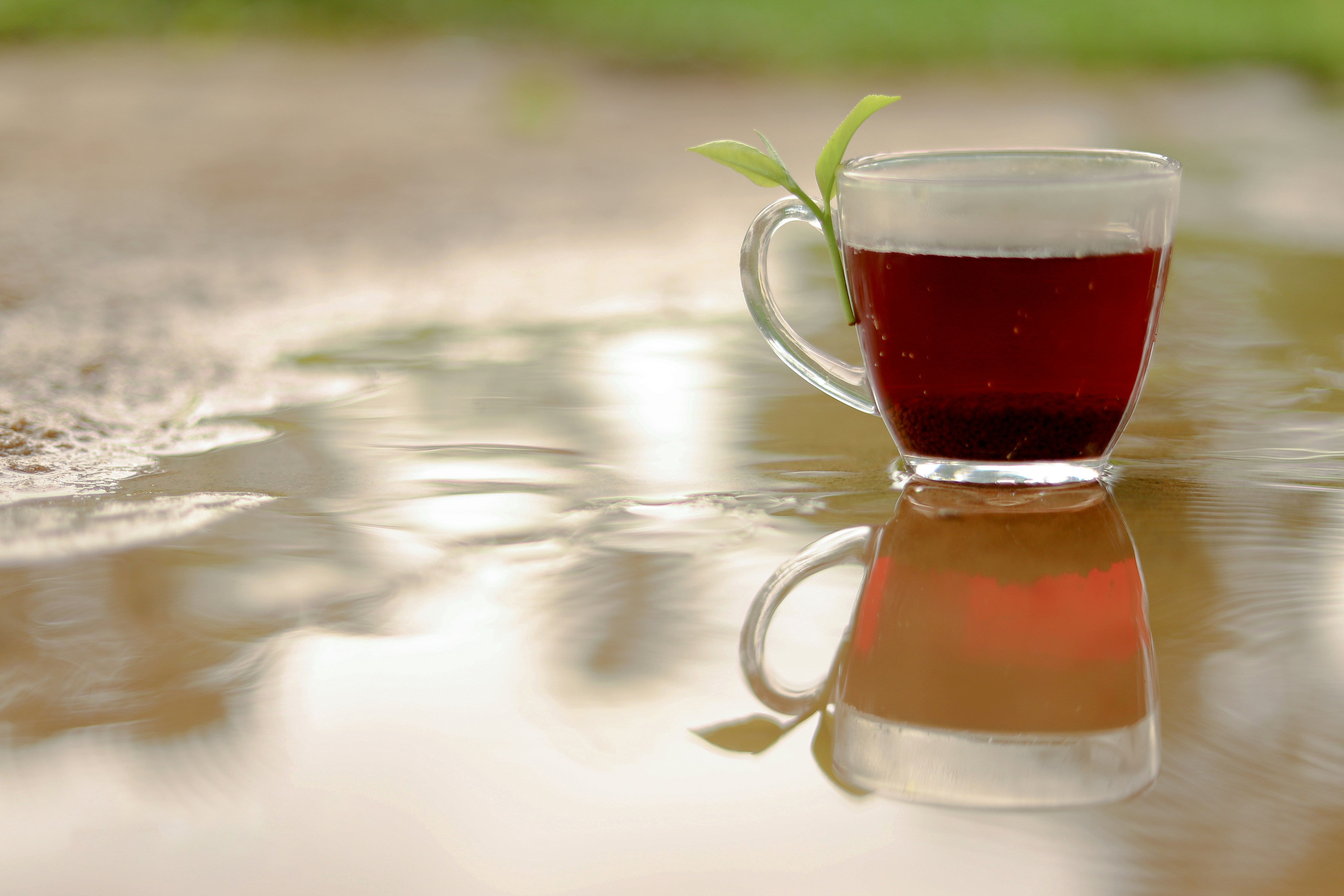 Photo by zayed_ahmed_zadu