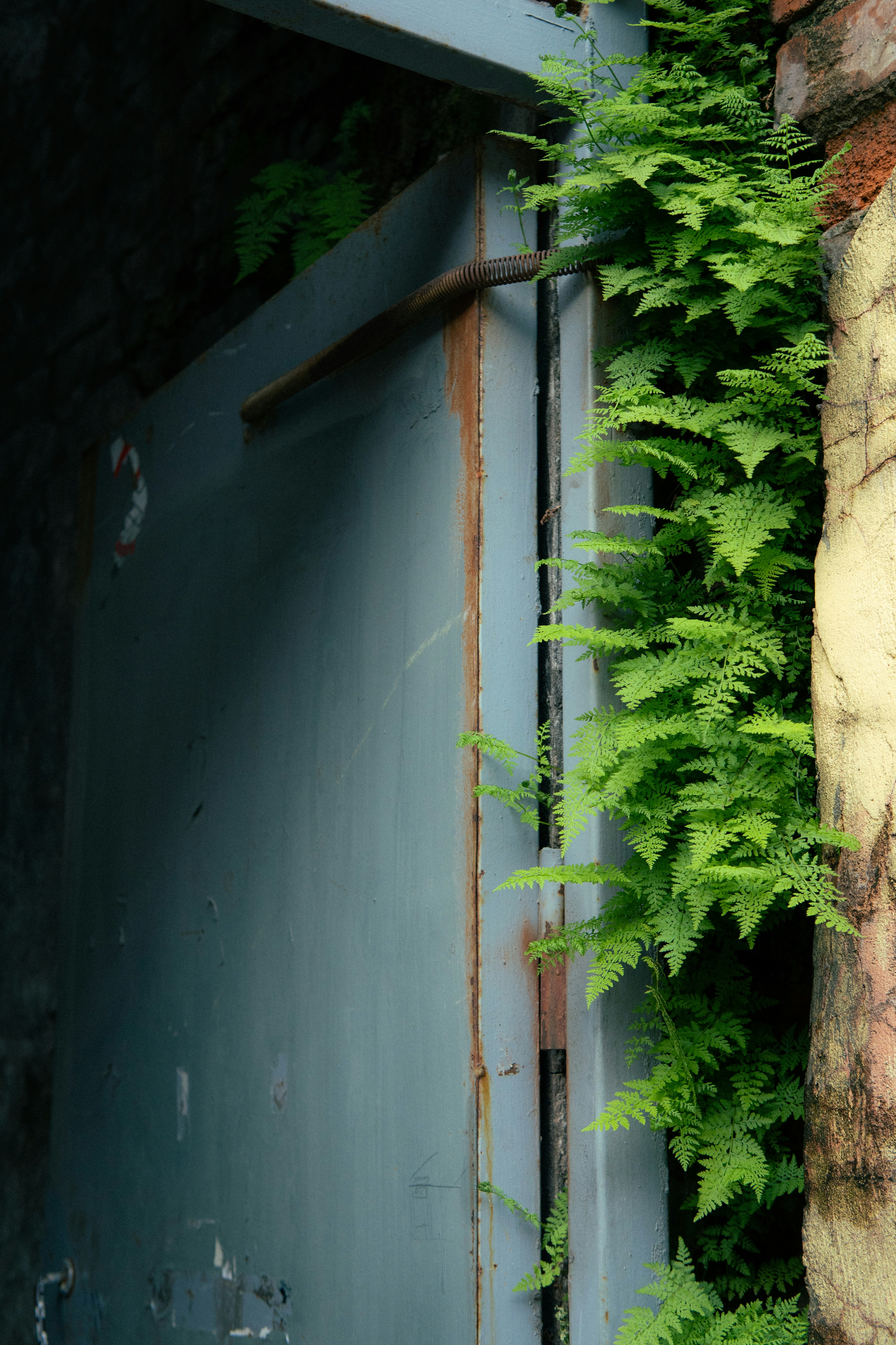 Photo by pinkultrablast