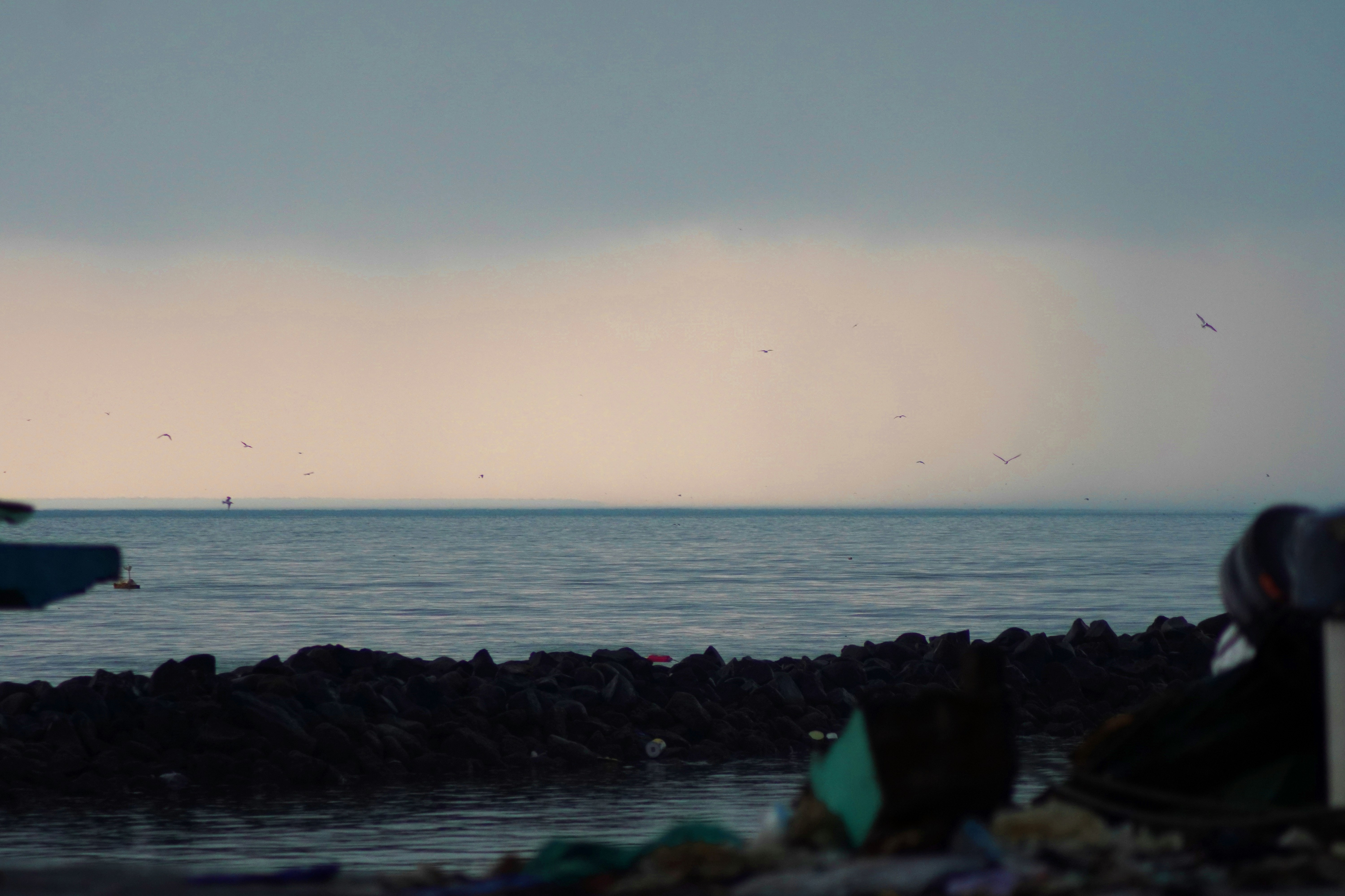 Ocean horizon with debris in foreground