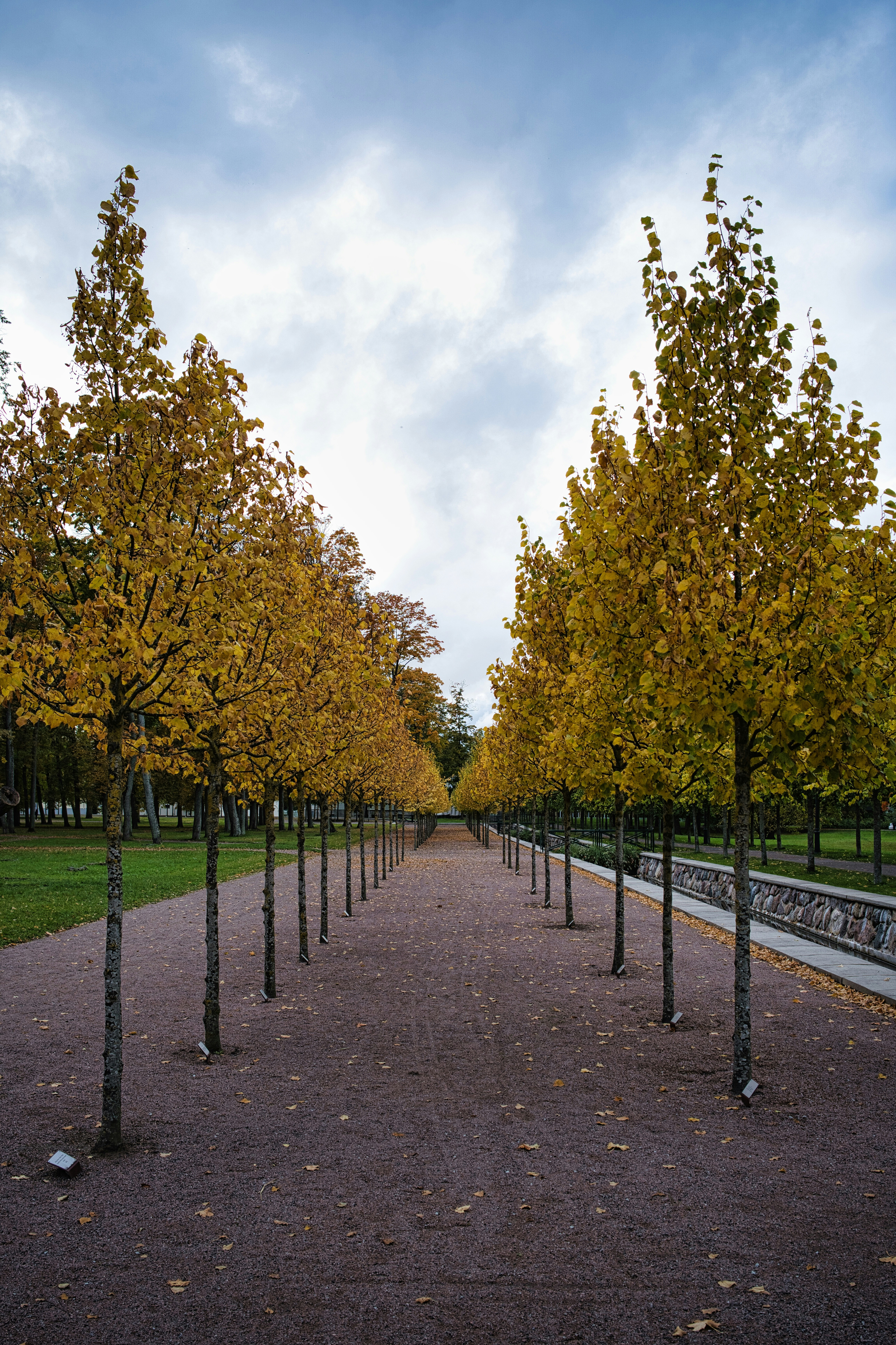 Photo by maksimshutov