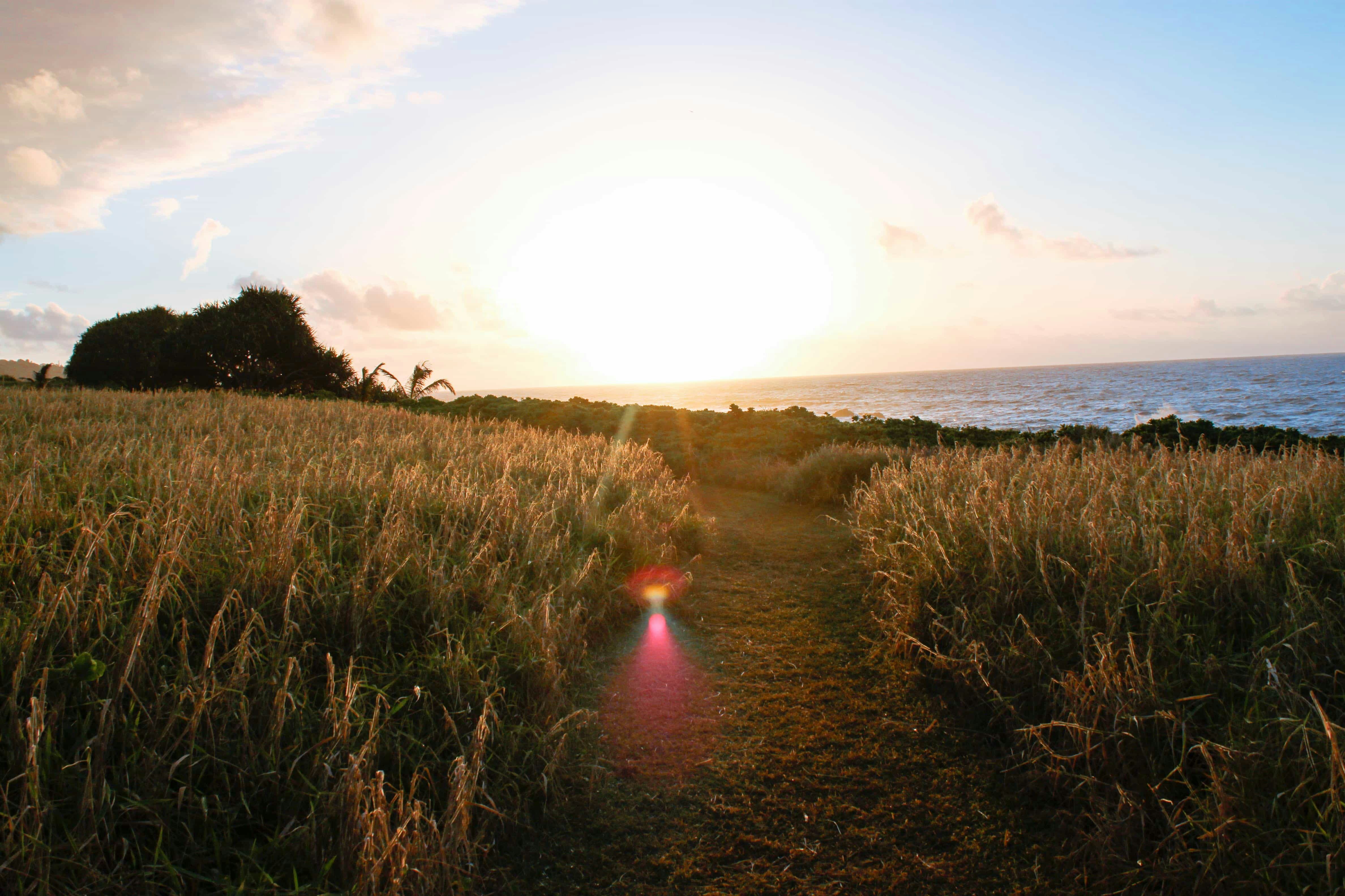 Recognizing the Path to Life