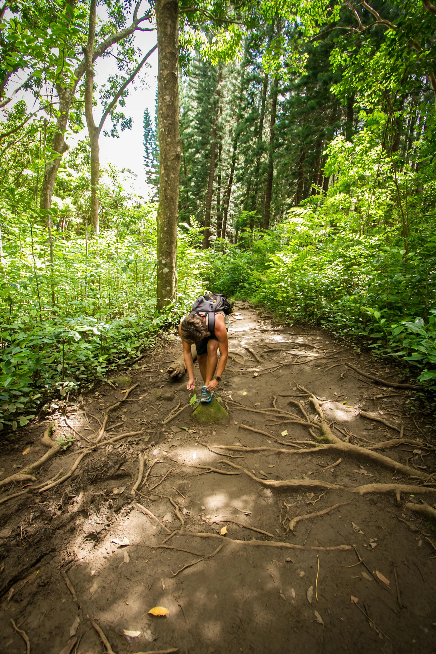 Hiking preparation for children visiting Hawaii Volcanoes National Park - Photo from Unsplash