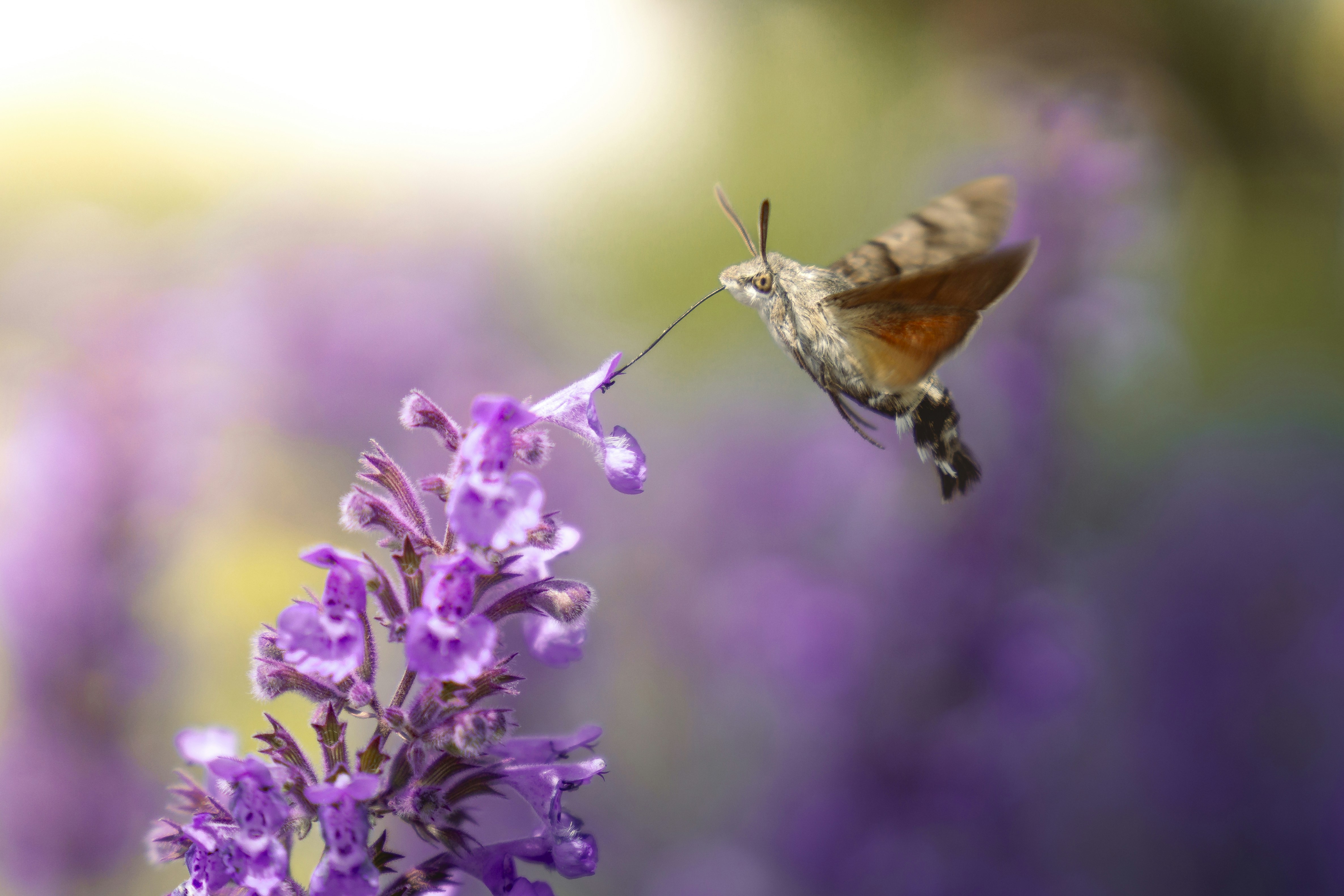 Photo by jonathan_rthg