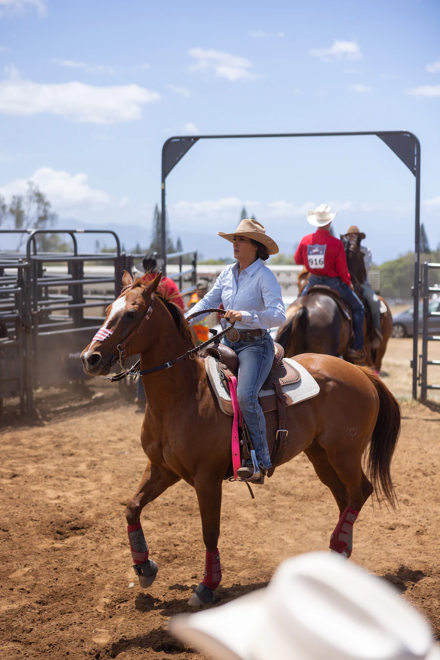 Iconic Ariat boot