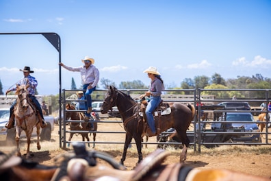 Cowboys and cowgirls on horses at a rodeo event