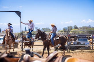 Cowboys and cowgirls on horses at a rodeo event