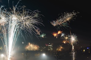 Bright fireworks explode in the night sky.