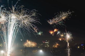 Bright fireworks explode in the night sky.
