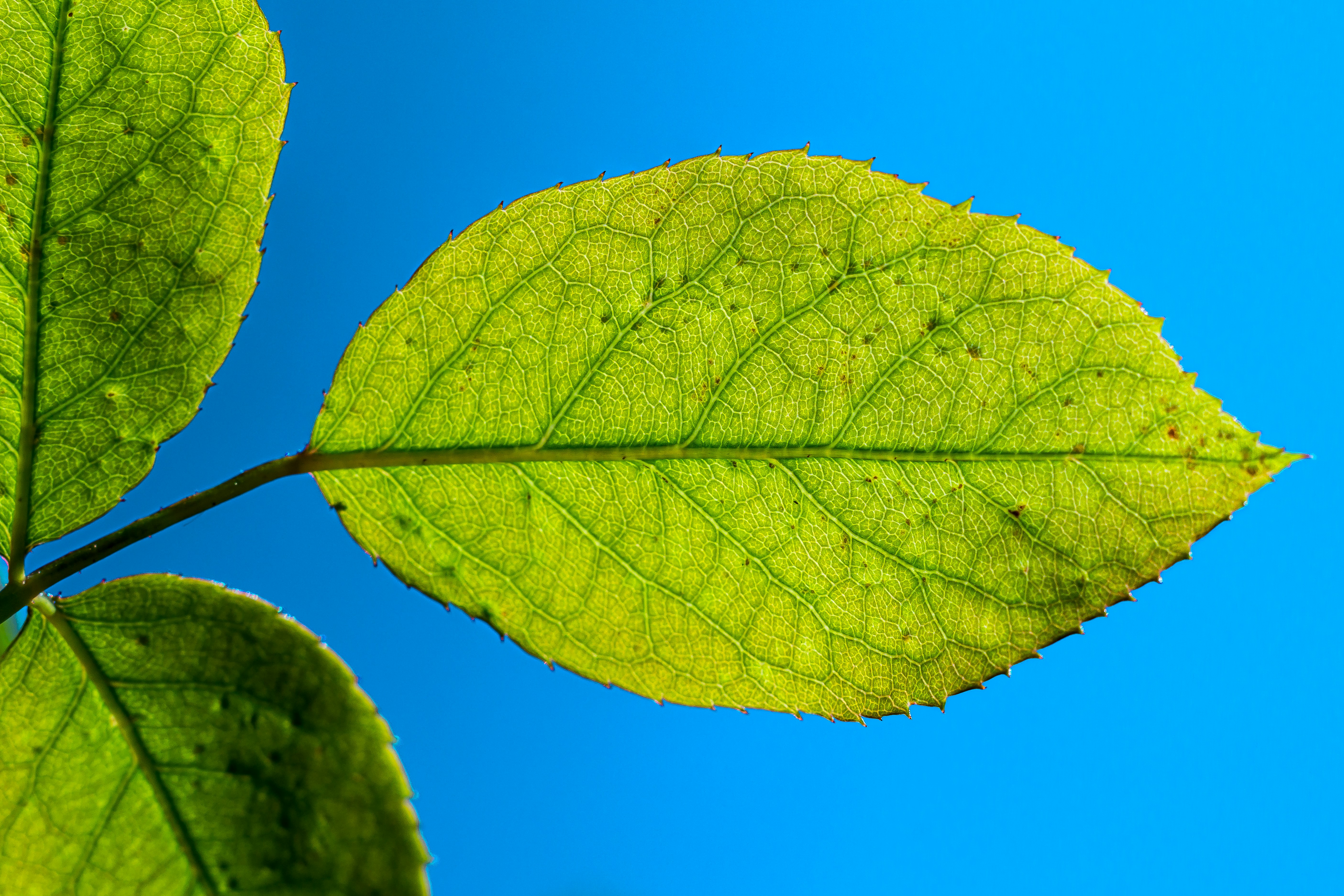 Photo by jonathan_rthg