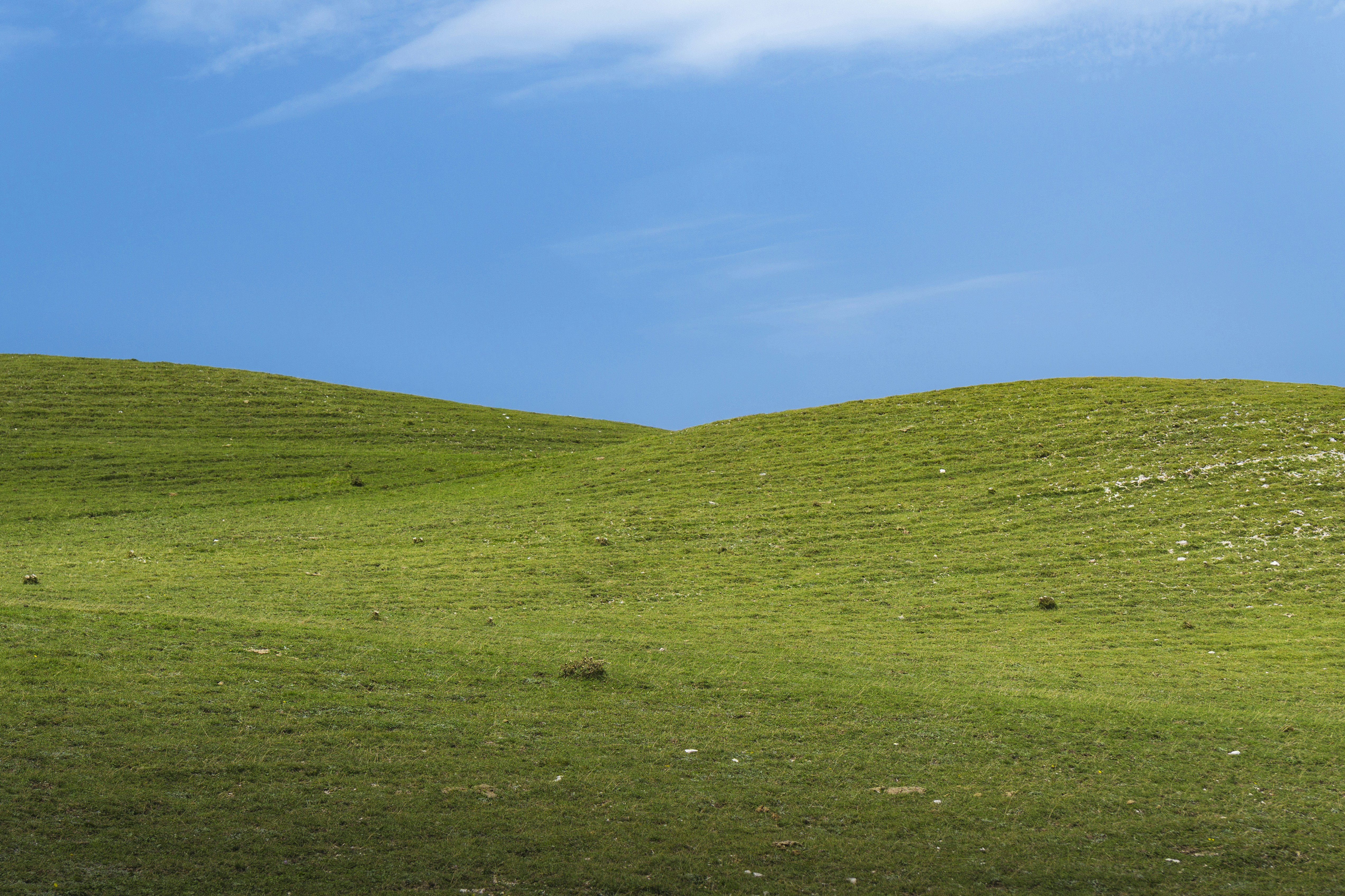 Photo by jonathan_rthg