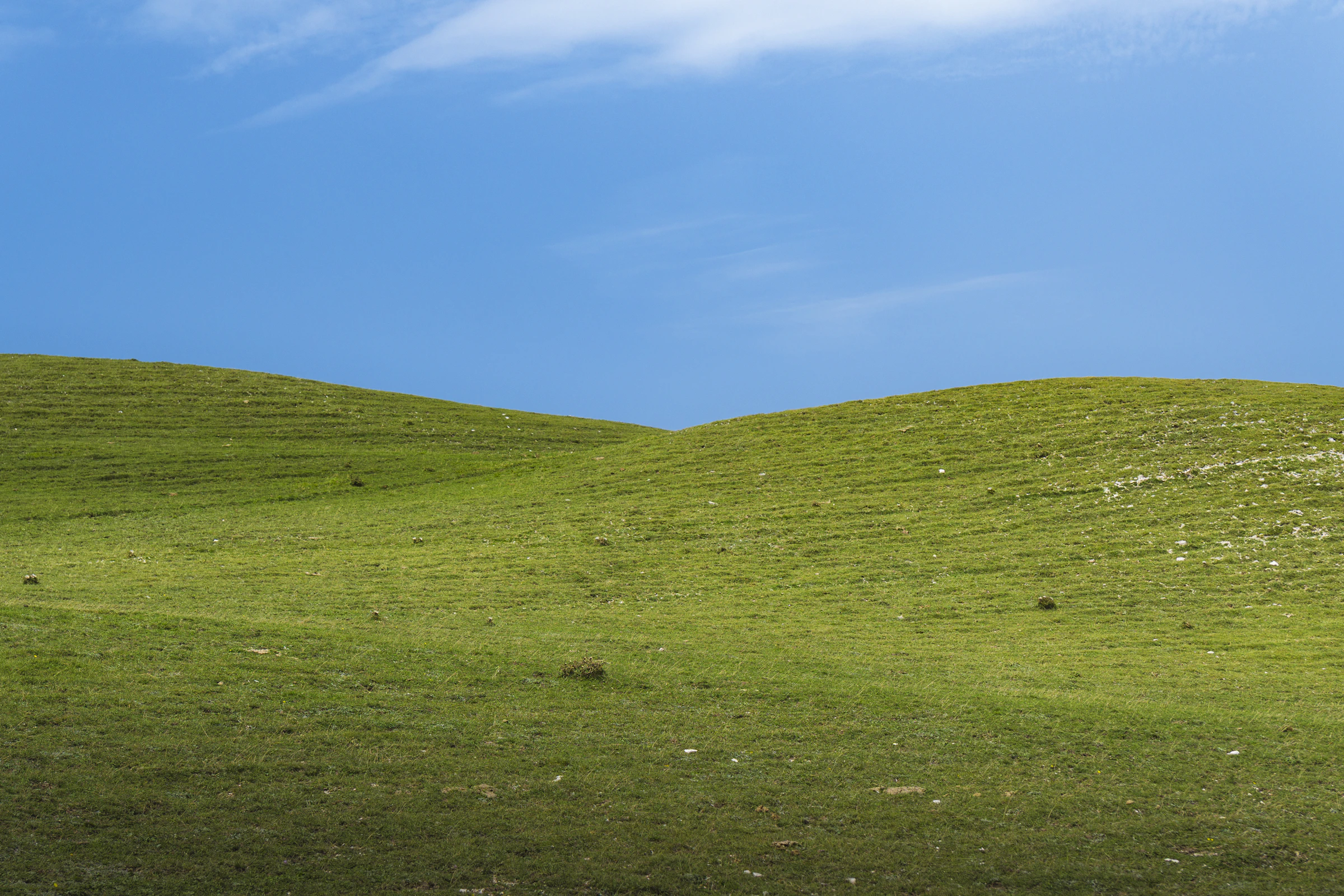 Green rolling hills under an open sky