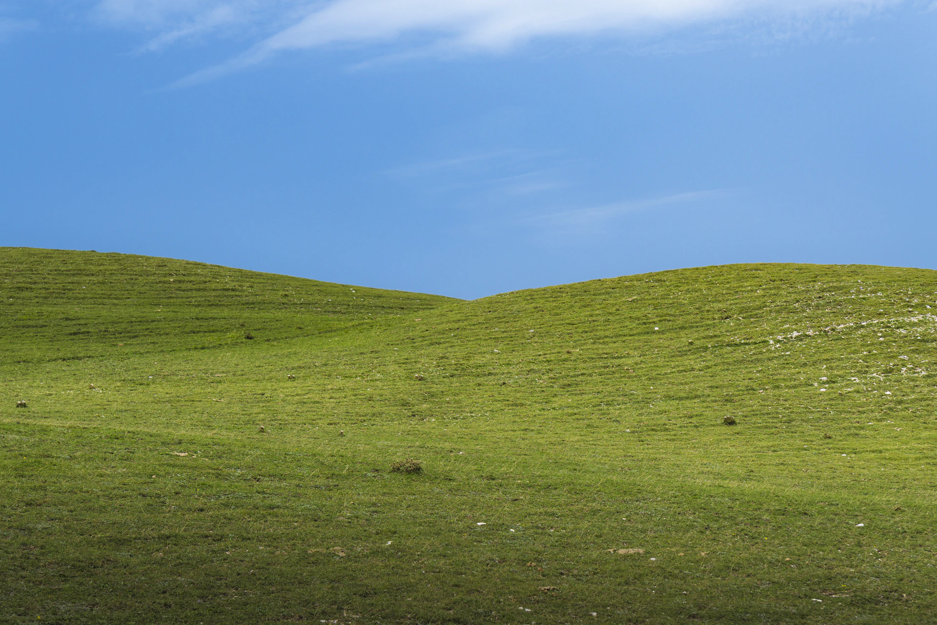 Rolling green hills under a bright blue sky