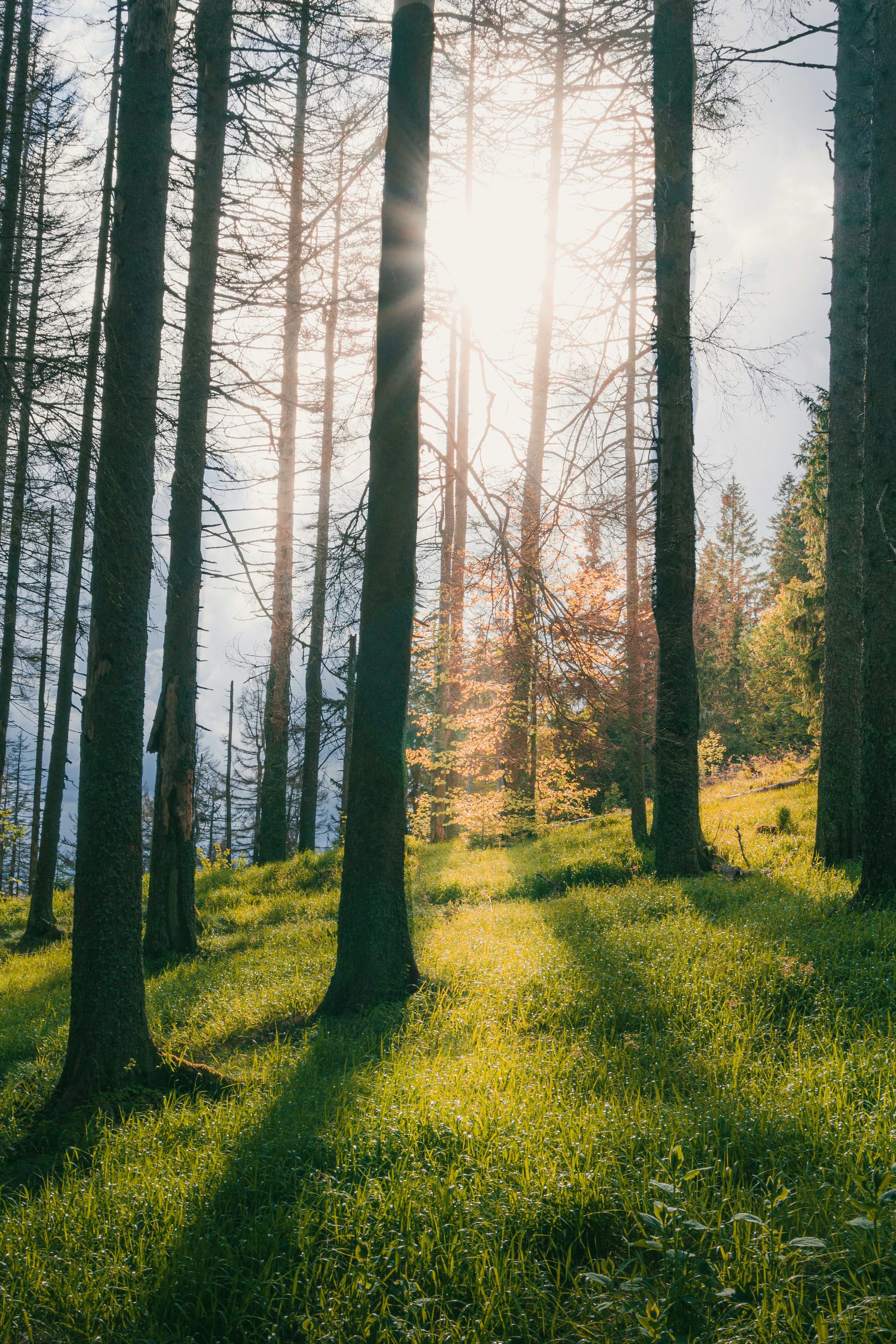 Photo by jonathan_rthg