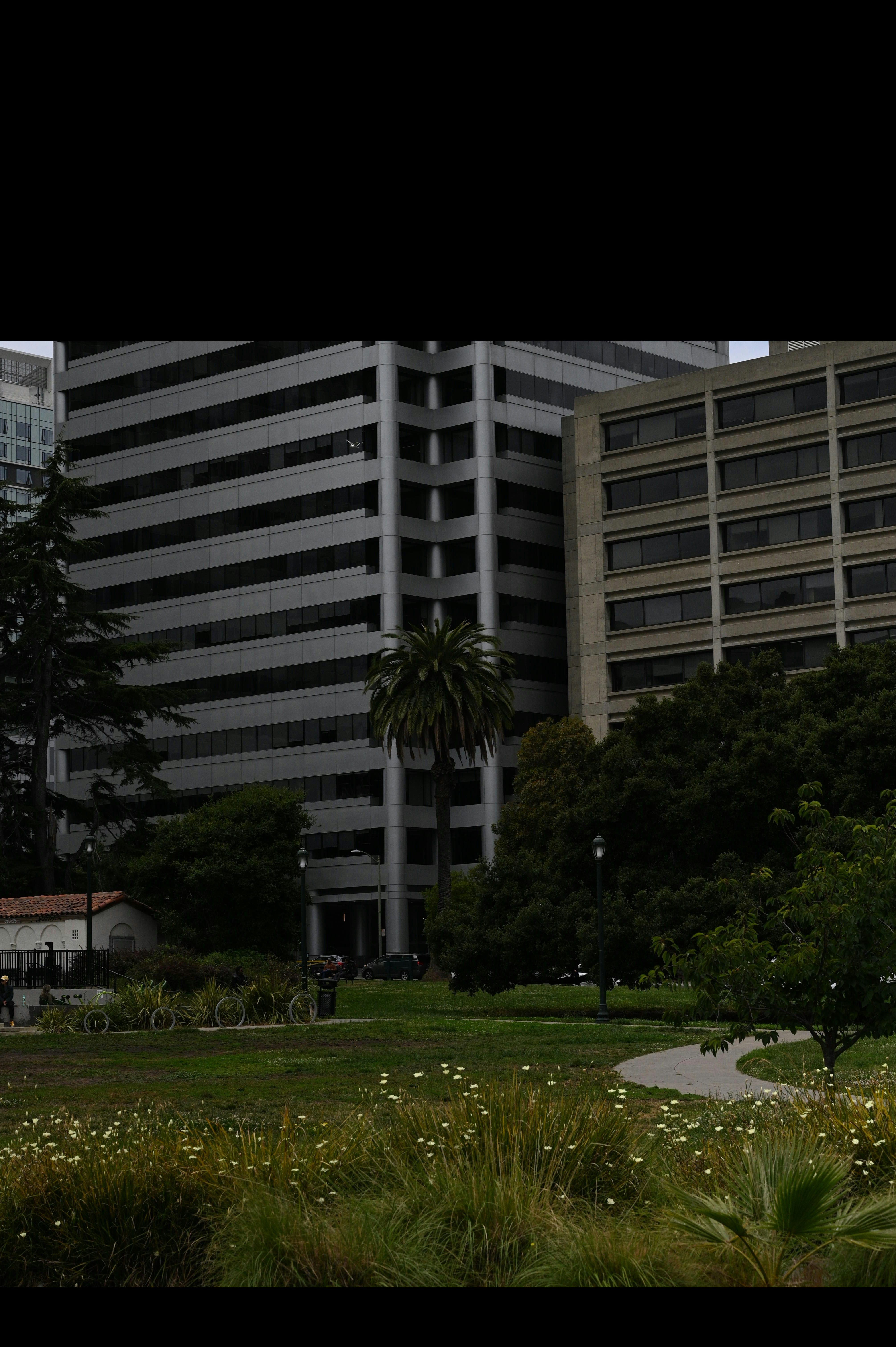 oakland park business