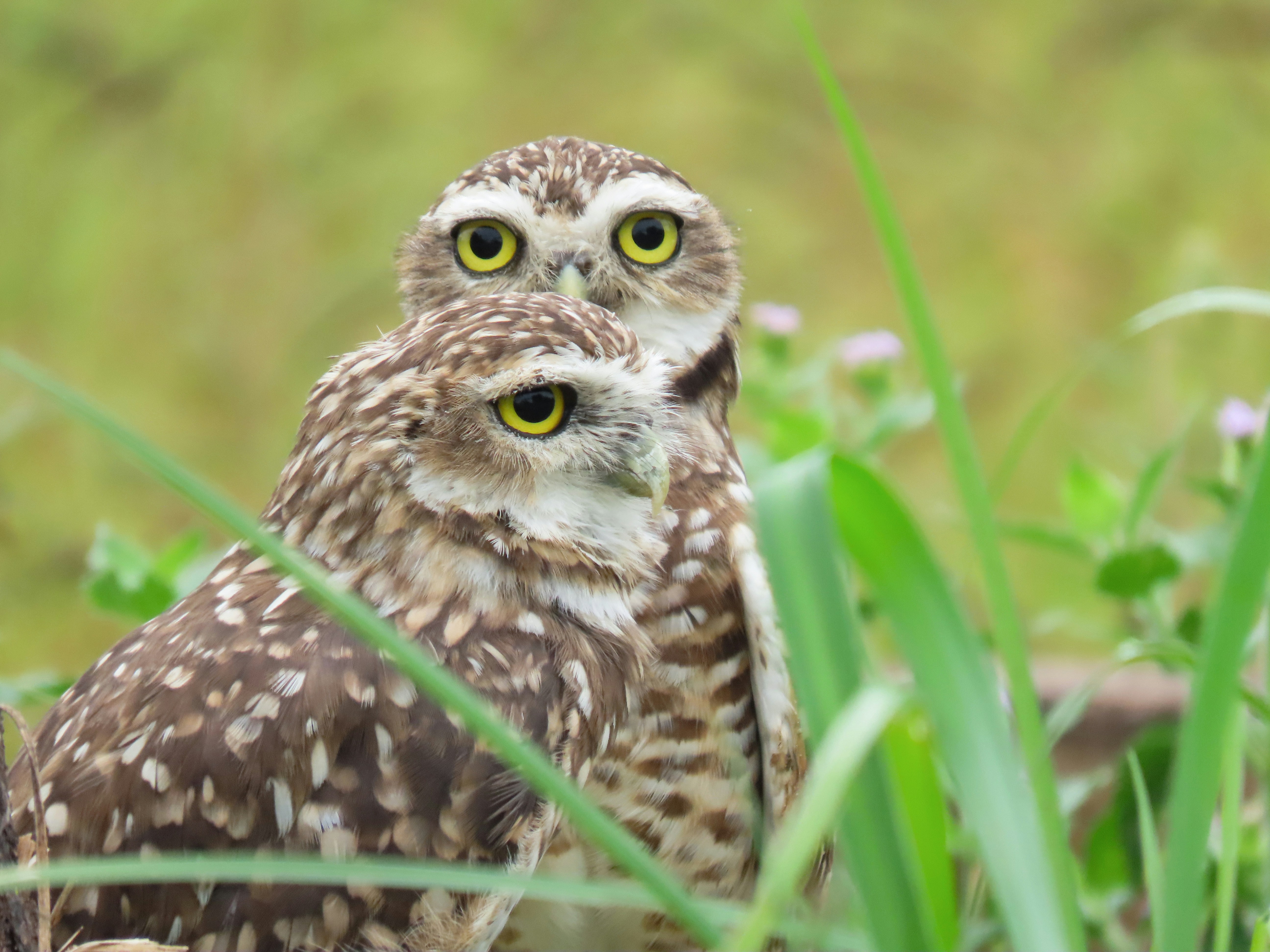 Photo by patricianicoloso