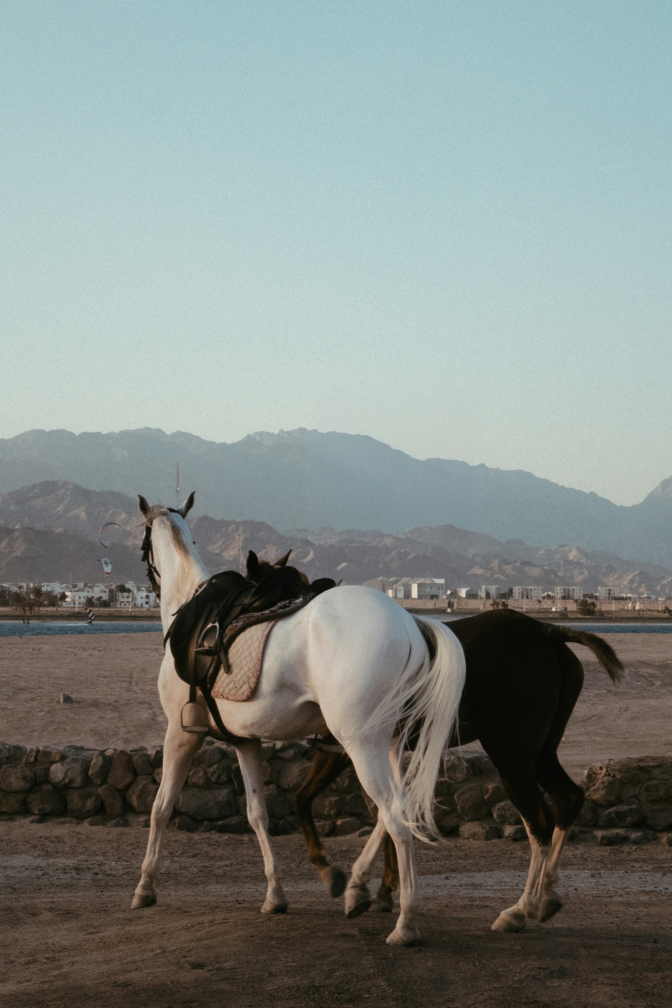 Desert Adventures Beyond the Beach