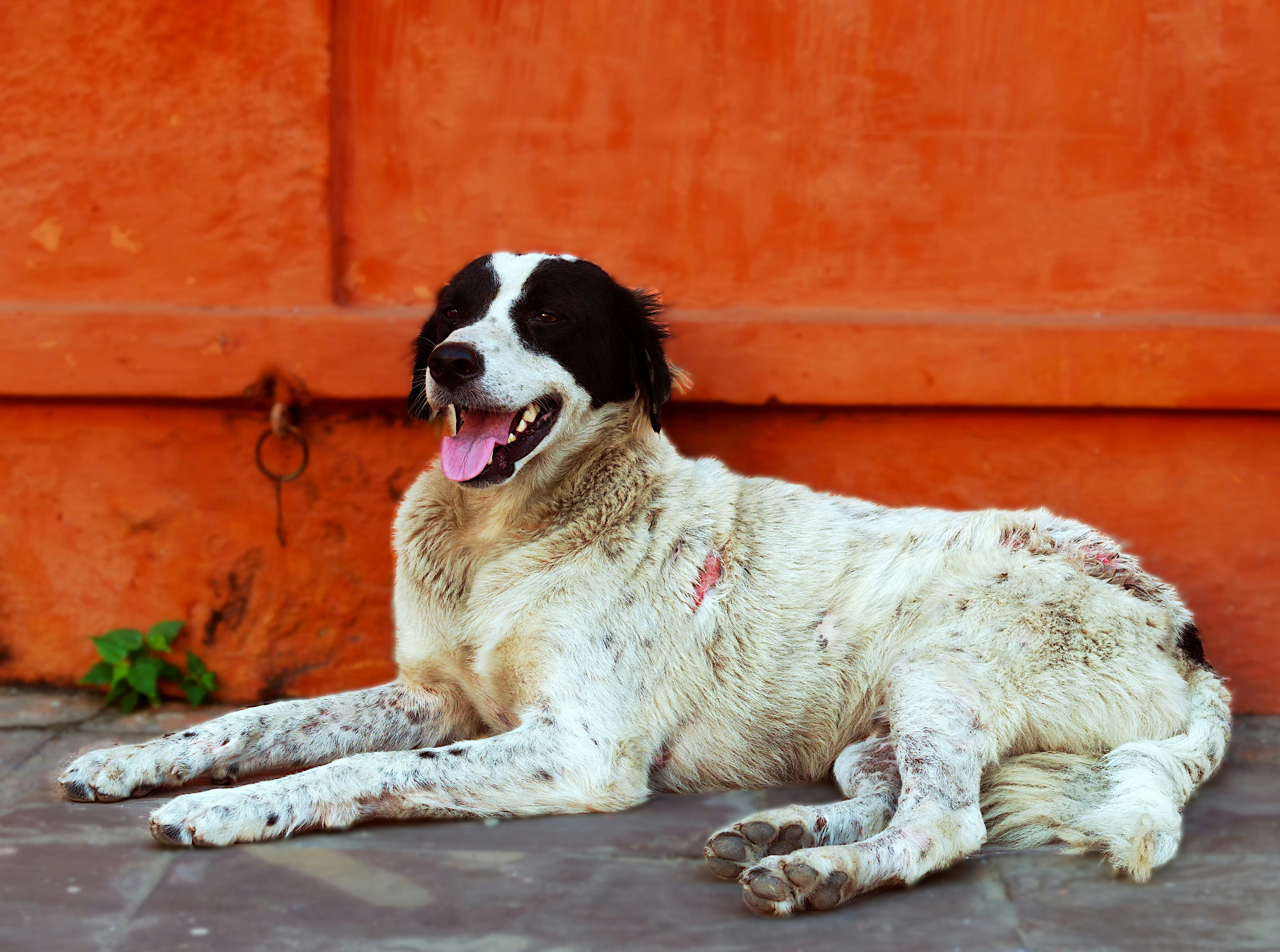 Photo by archaeo_images