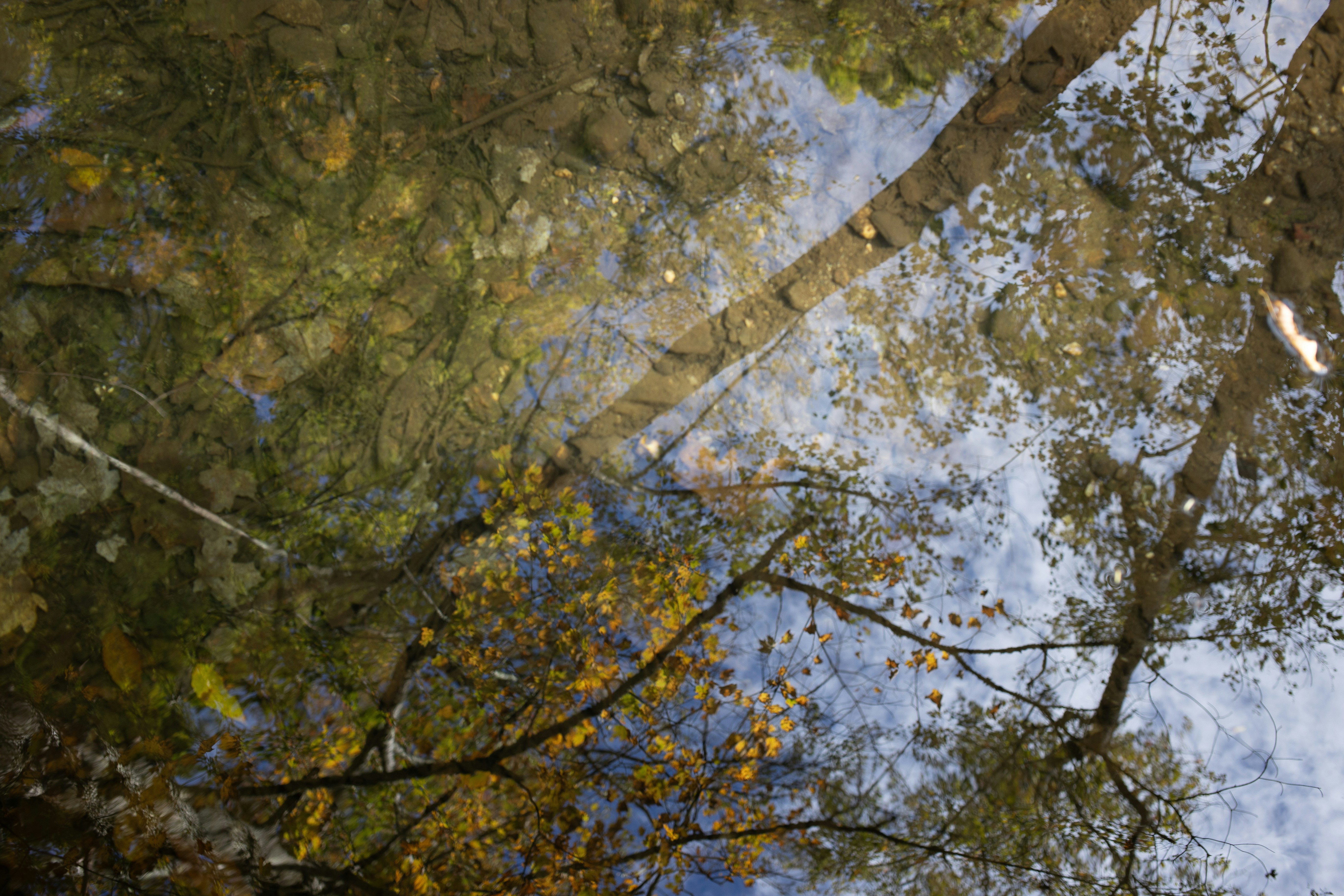 Photo by joshuawilliamsnyc