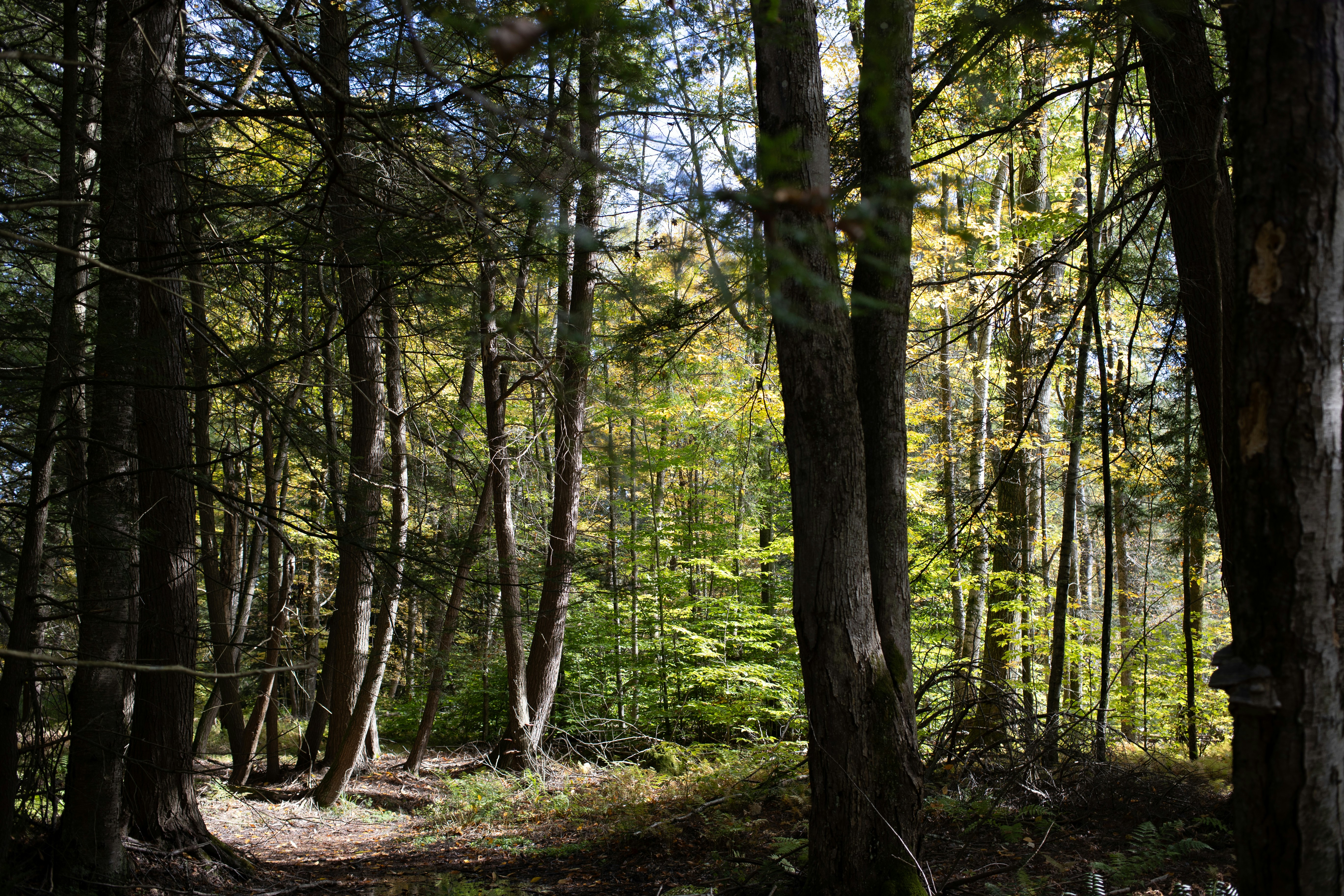 Photo by joshuawilliamsnyc