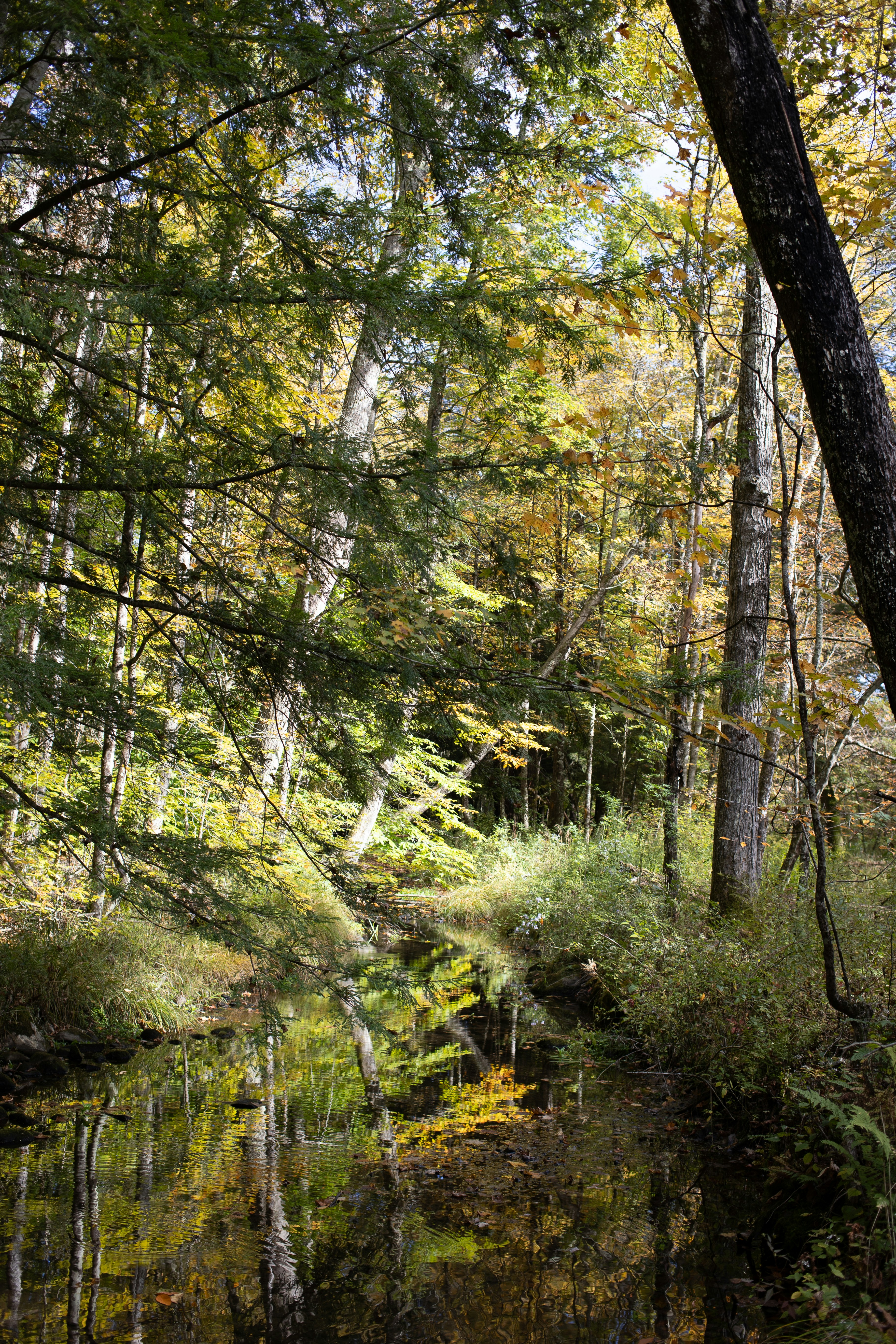 Photo by joshuawilliamsnyc